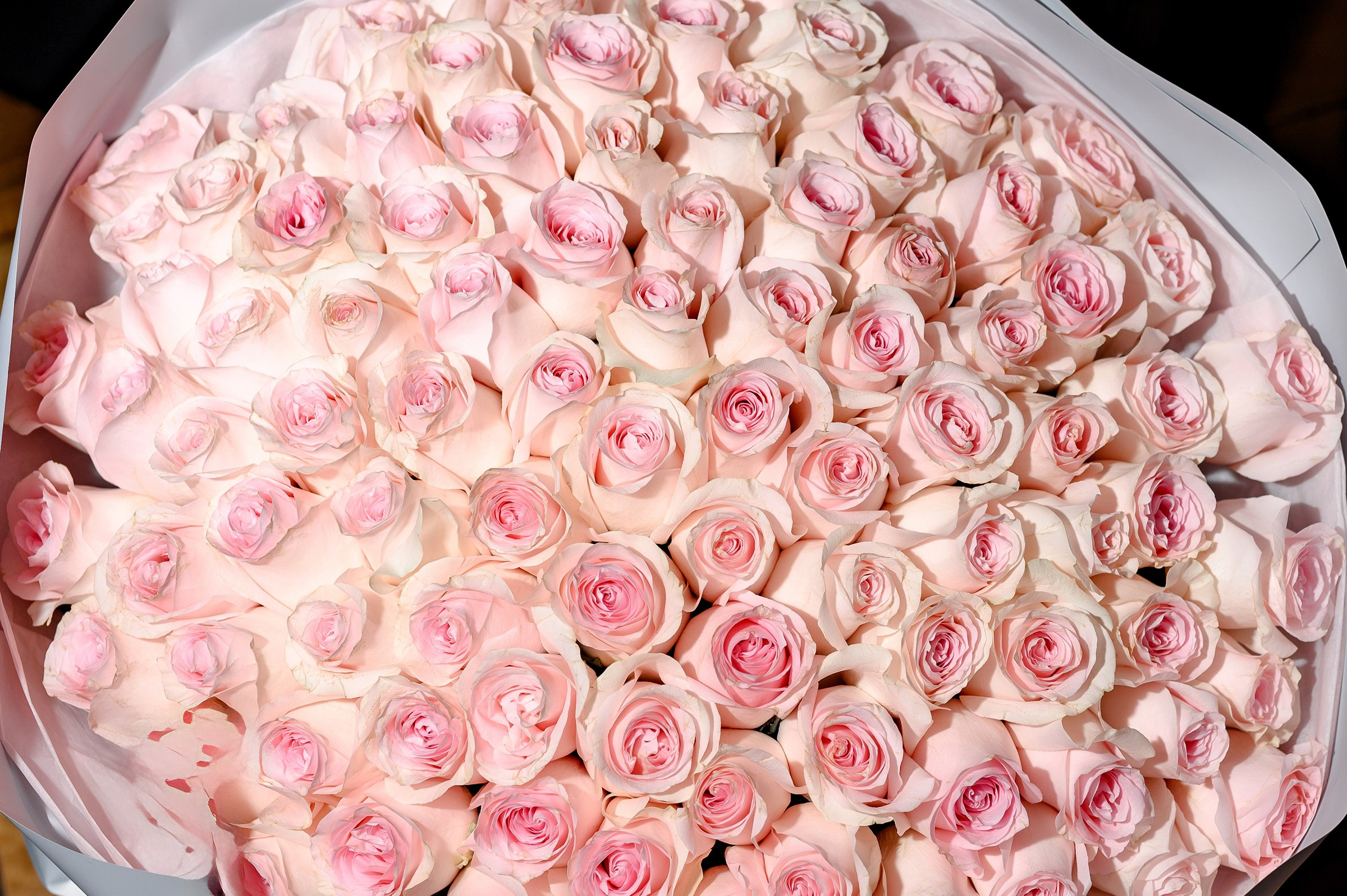 " Happy birthday Lisa ". Свадебный и семейный фотограф