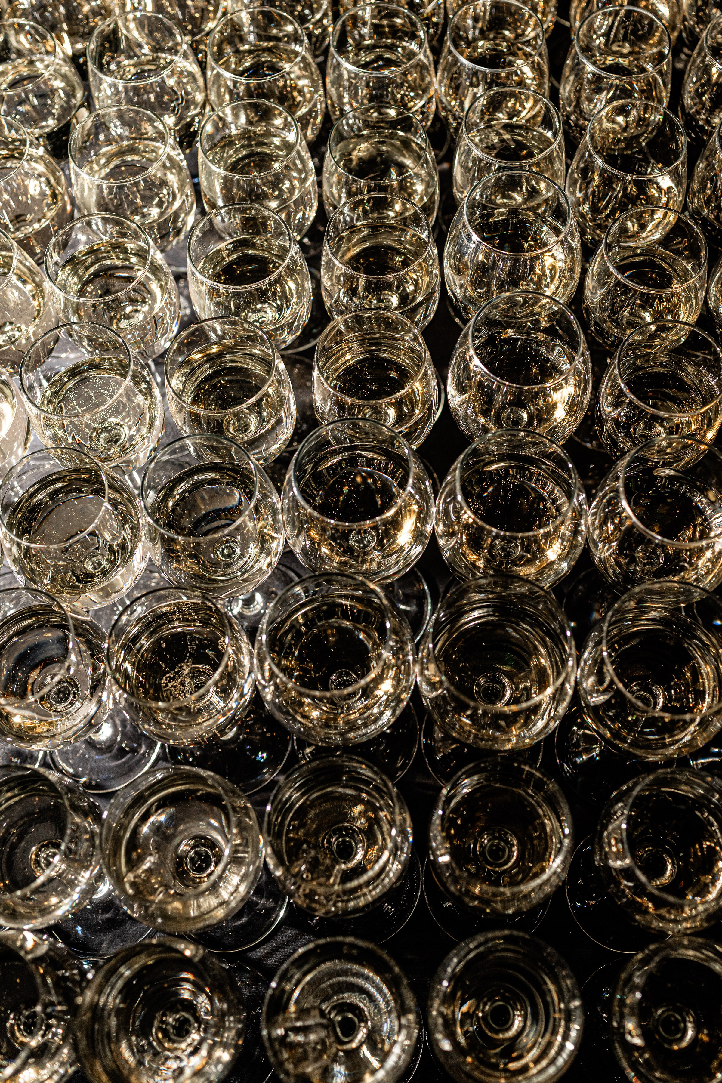 «CHAMPION FEST 2025». Свадебный и семейный фотограф