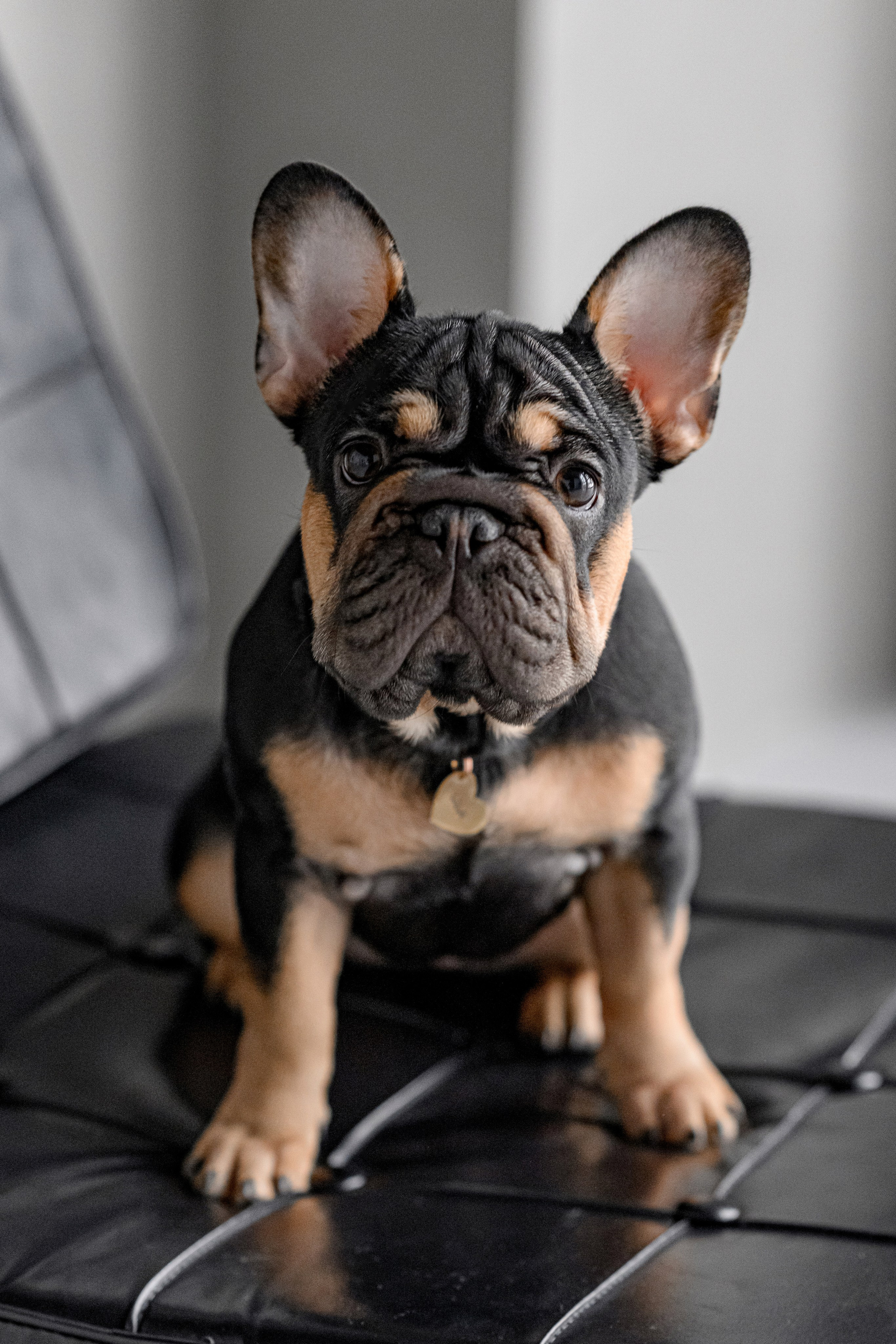 A & T. Свадебный и семейный фотограф