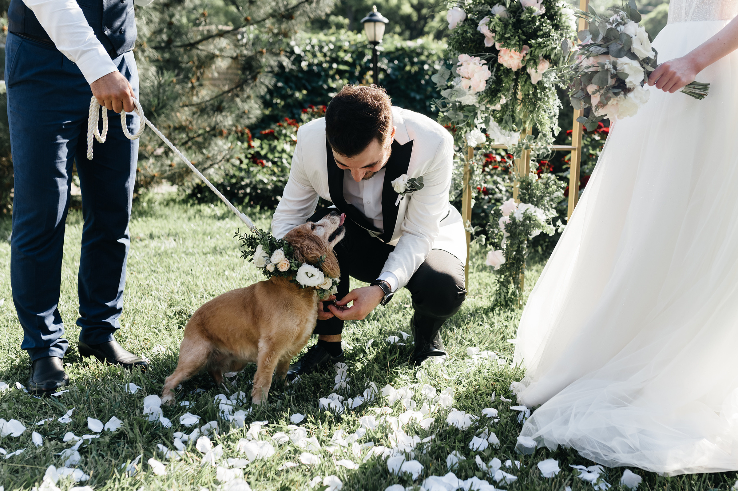Сергій & Юлія. Свадебный и семейный фотограф