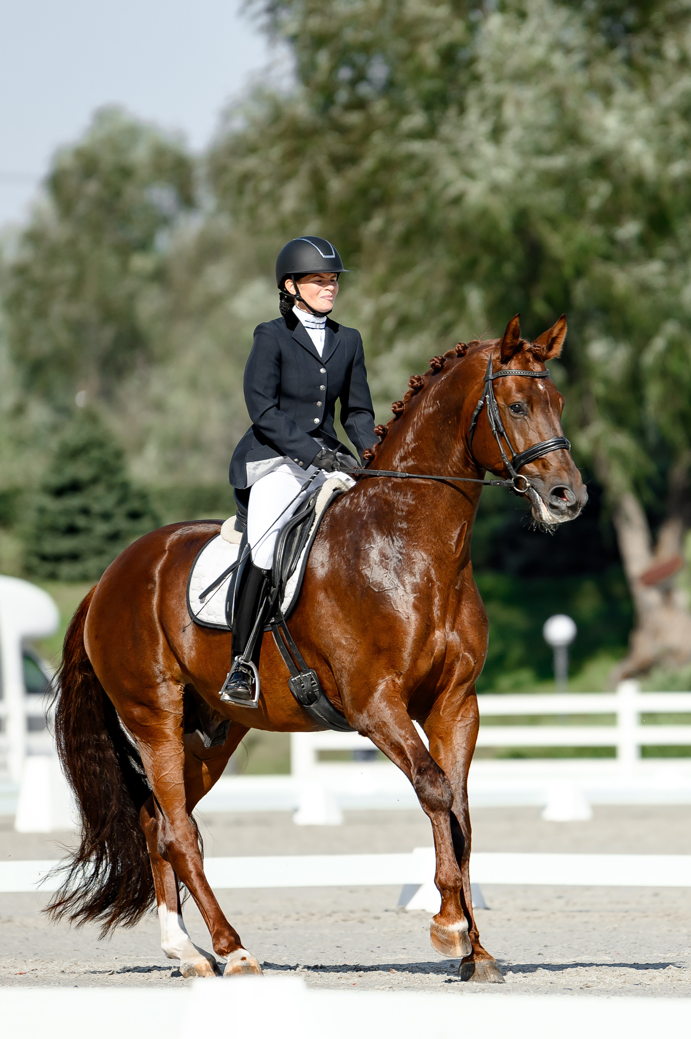 «DRESSAGE EQUIDES CUP 2023». Свадебный и семейный фотограф