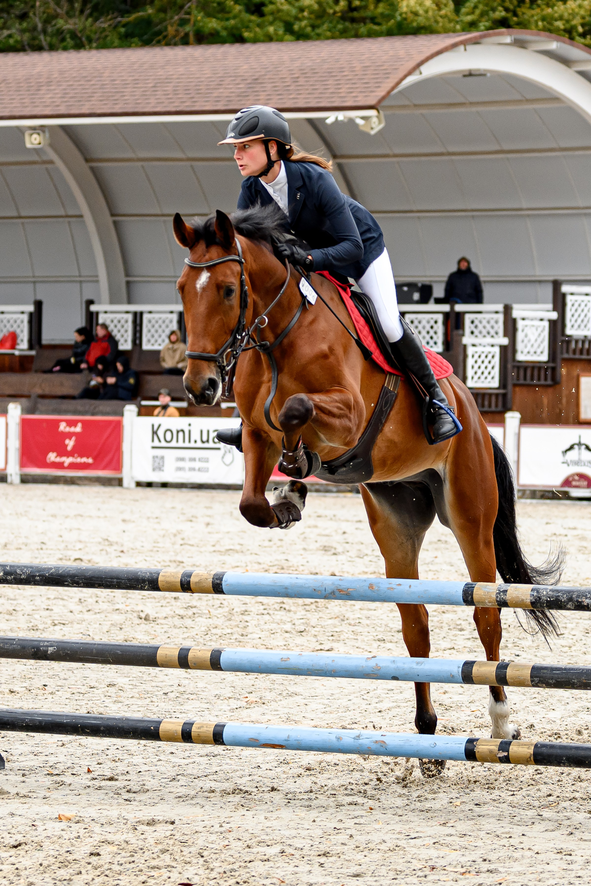 EQUIDES CUP 2023. Свадебный и семейный фотограф
