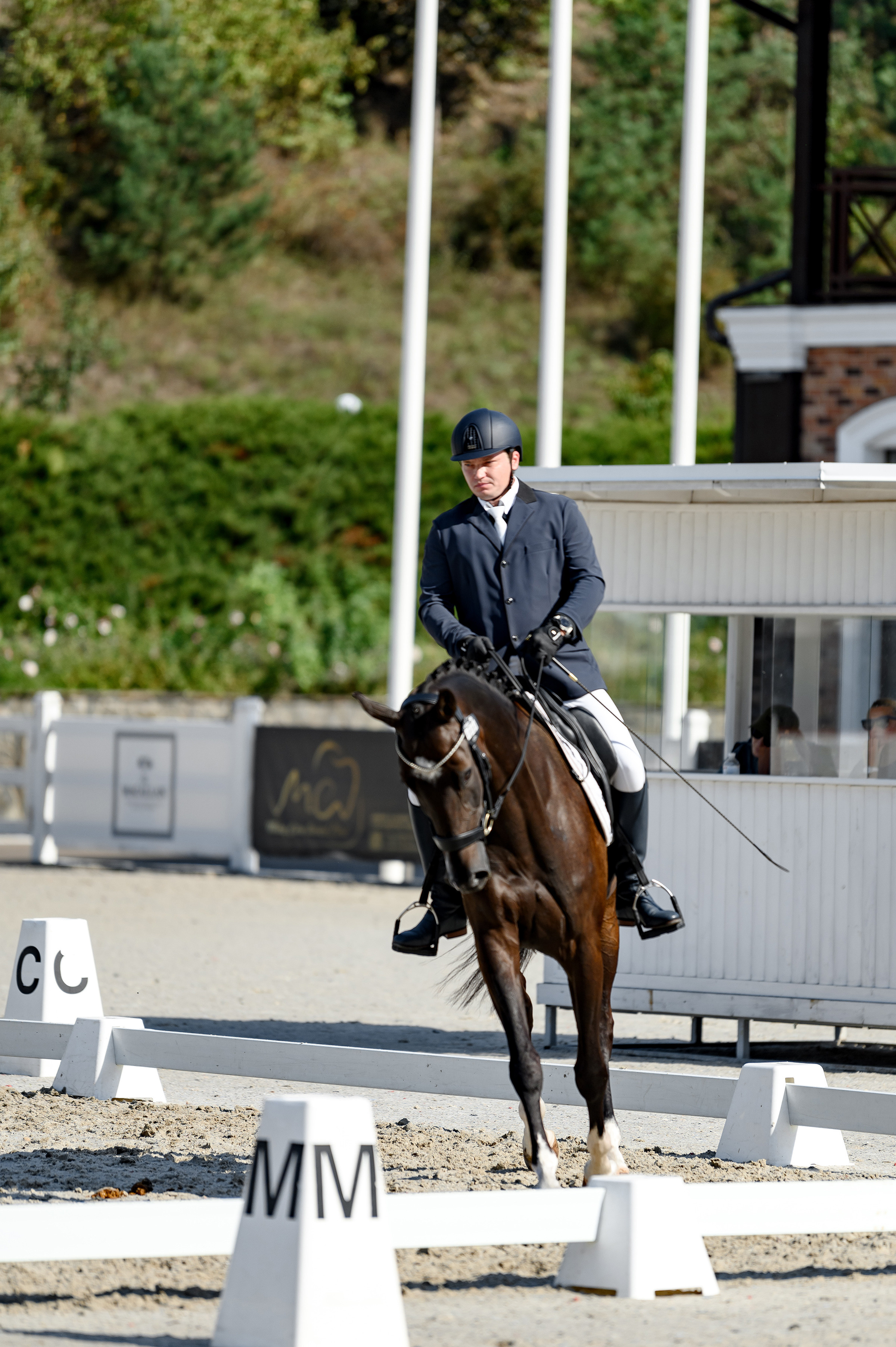 «DRESSAGE EQUIDES CUP 2023». Свадебный и семейный фотограф