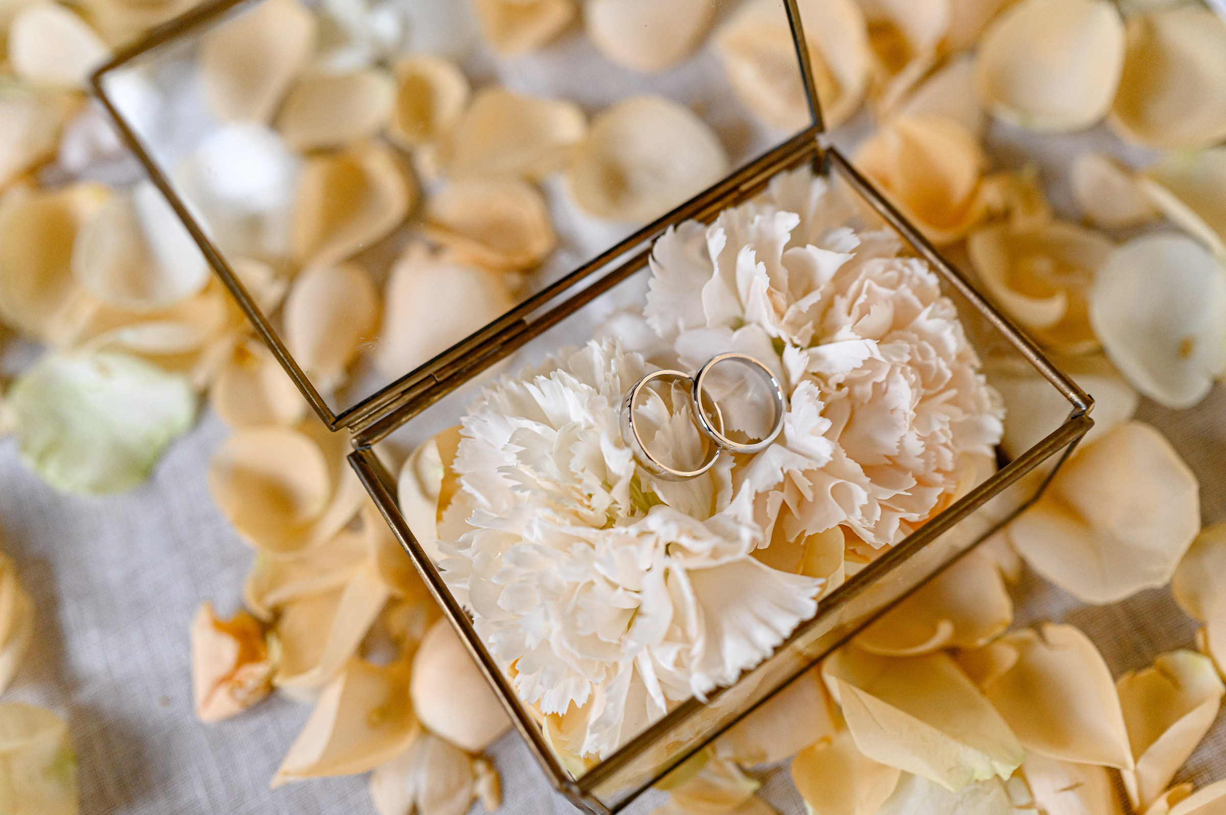 ОЛЕКСІЙ & ГАЛИНА. Свадебный и семейный фотограф