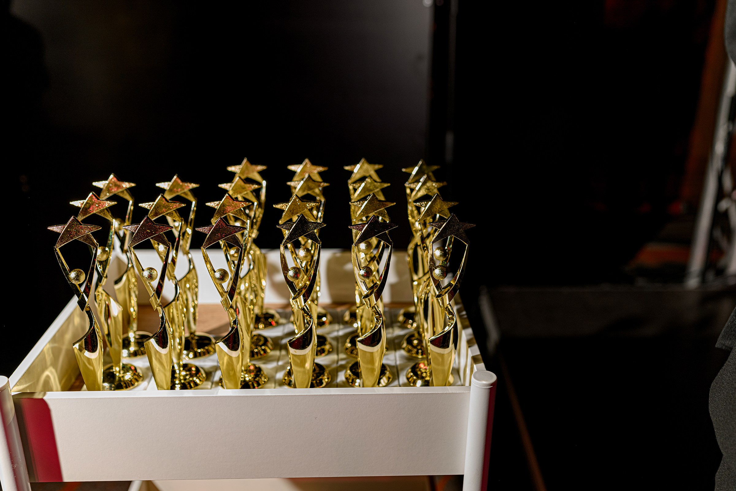 «MEDAVITA». Свадебный и семейный фотограф