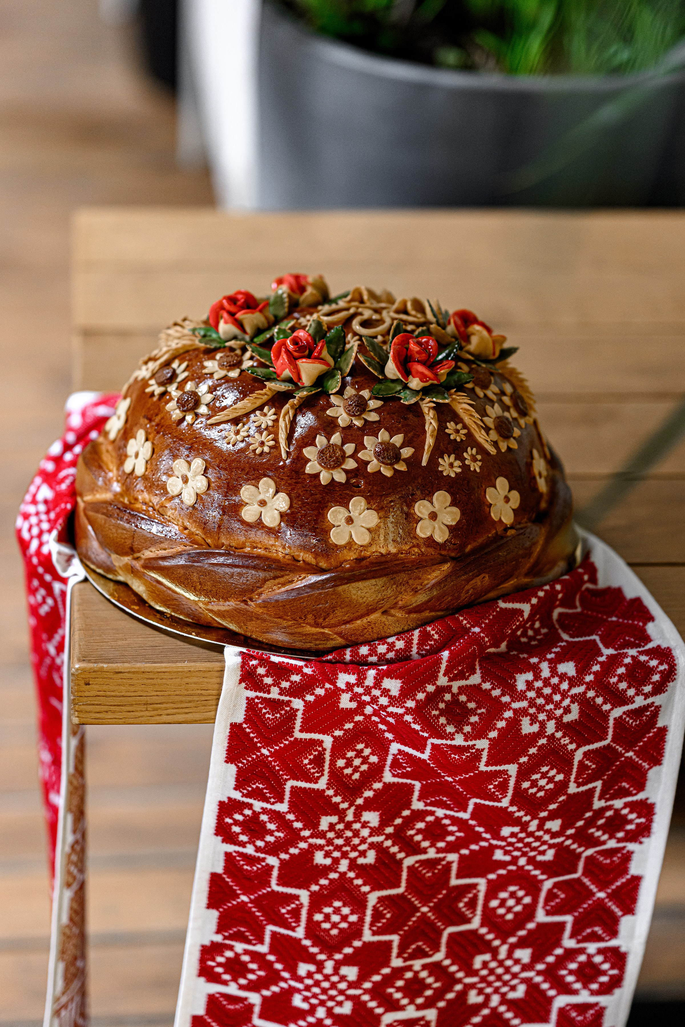 ОЛЕКСА & ЕЛІНА. Свадебный и семейный фотограф