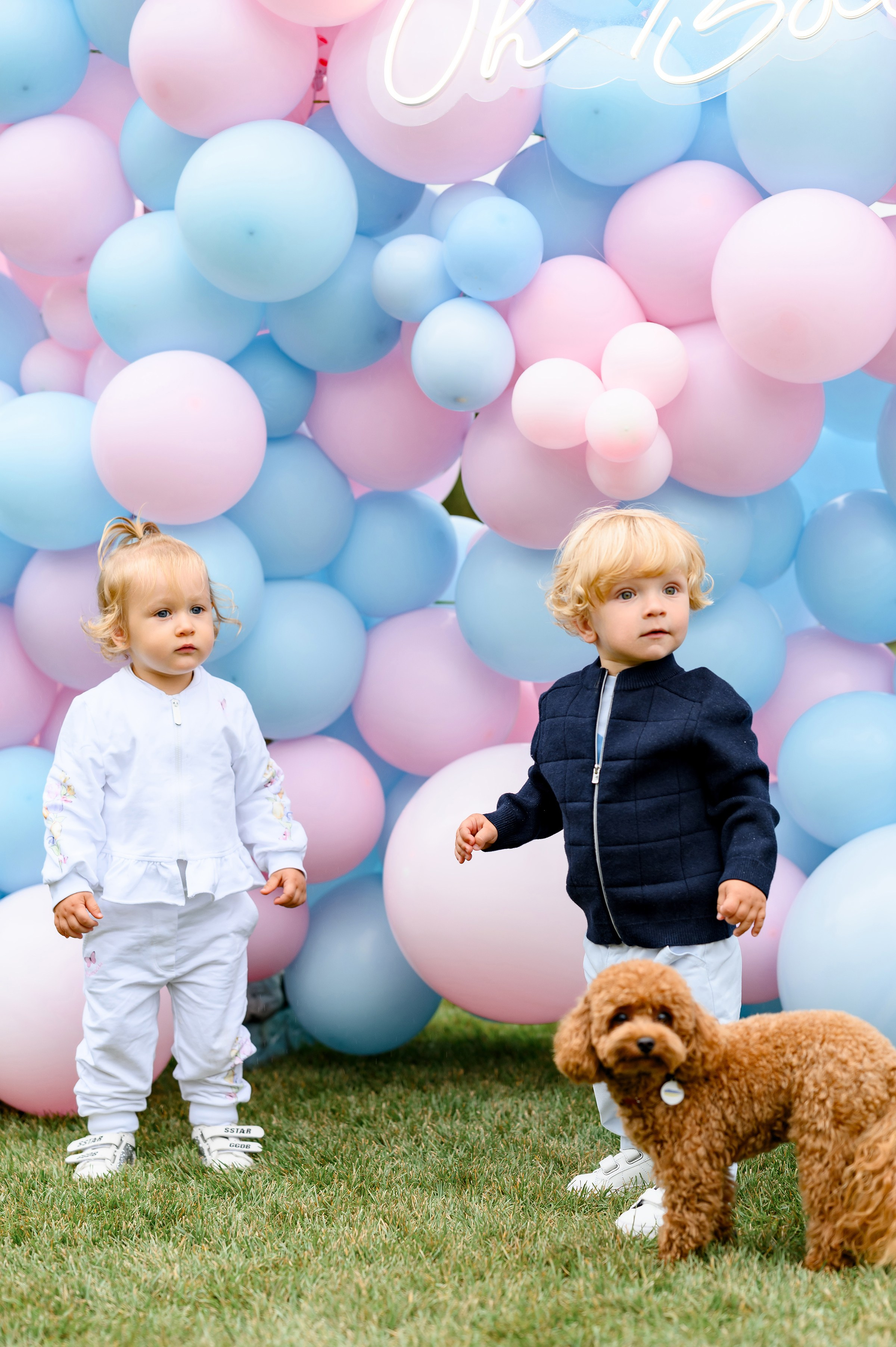 «OH, BABY». Свадебный и семейный фотограф