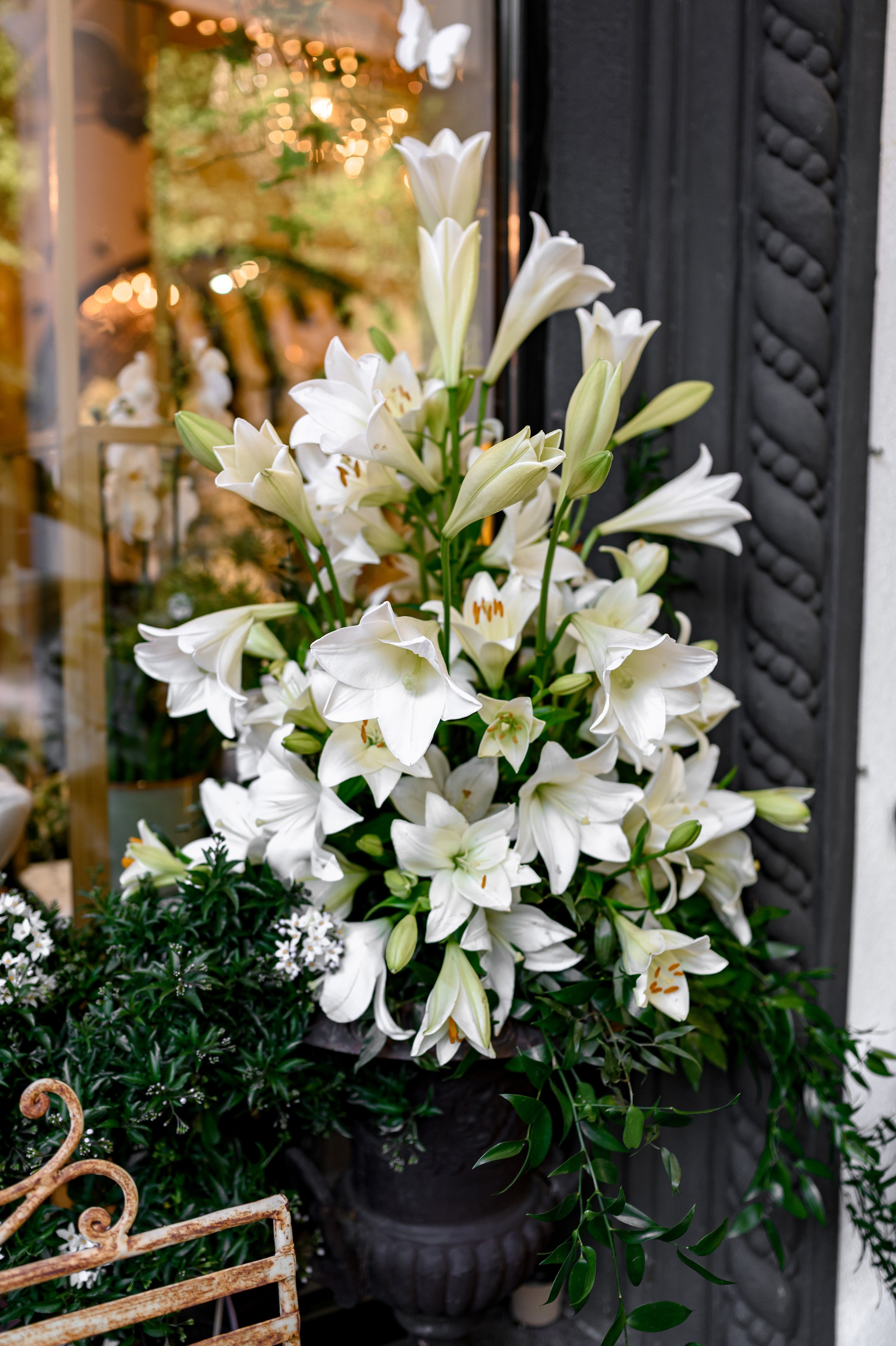 PROJECT ''Klovskysad & Marvis''. Свадебный и семейный фотограф