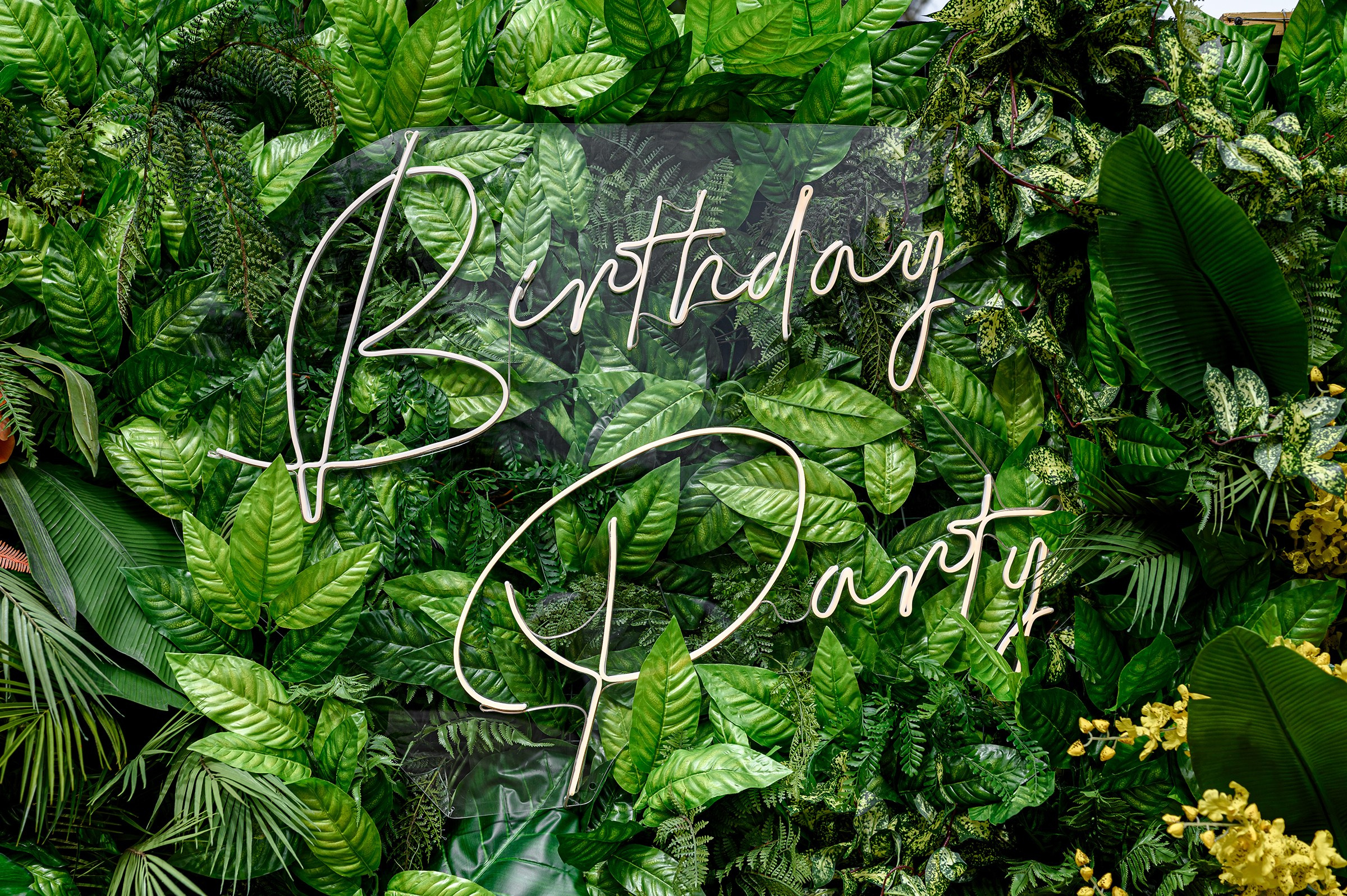 «Birthday Party». Свадебный и семейный фотограф