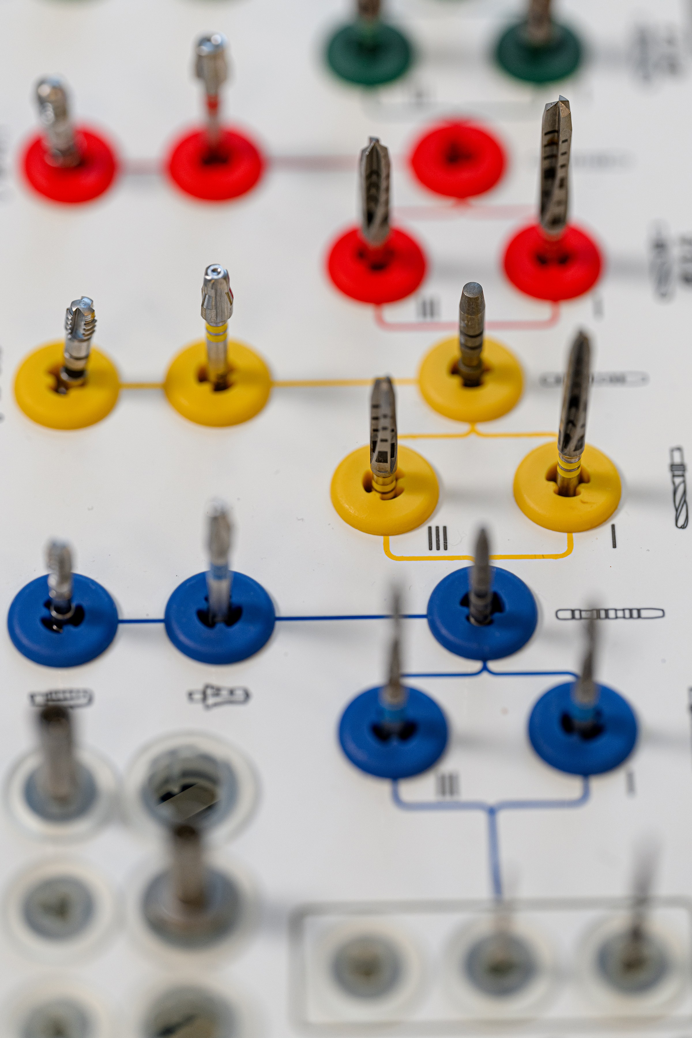 «DENTA MIA». Свадебный и семейный фотограф