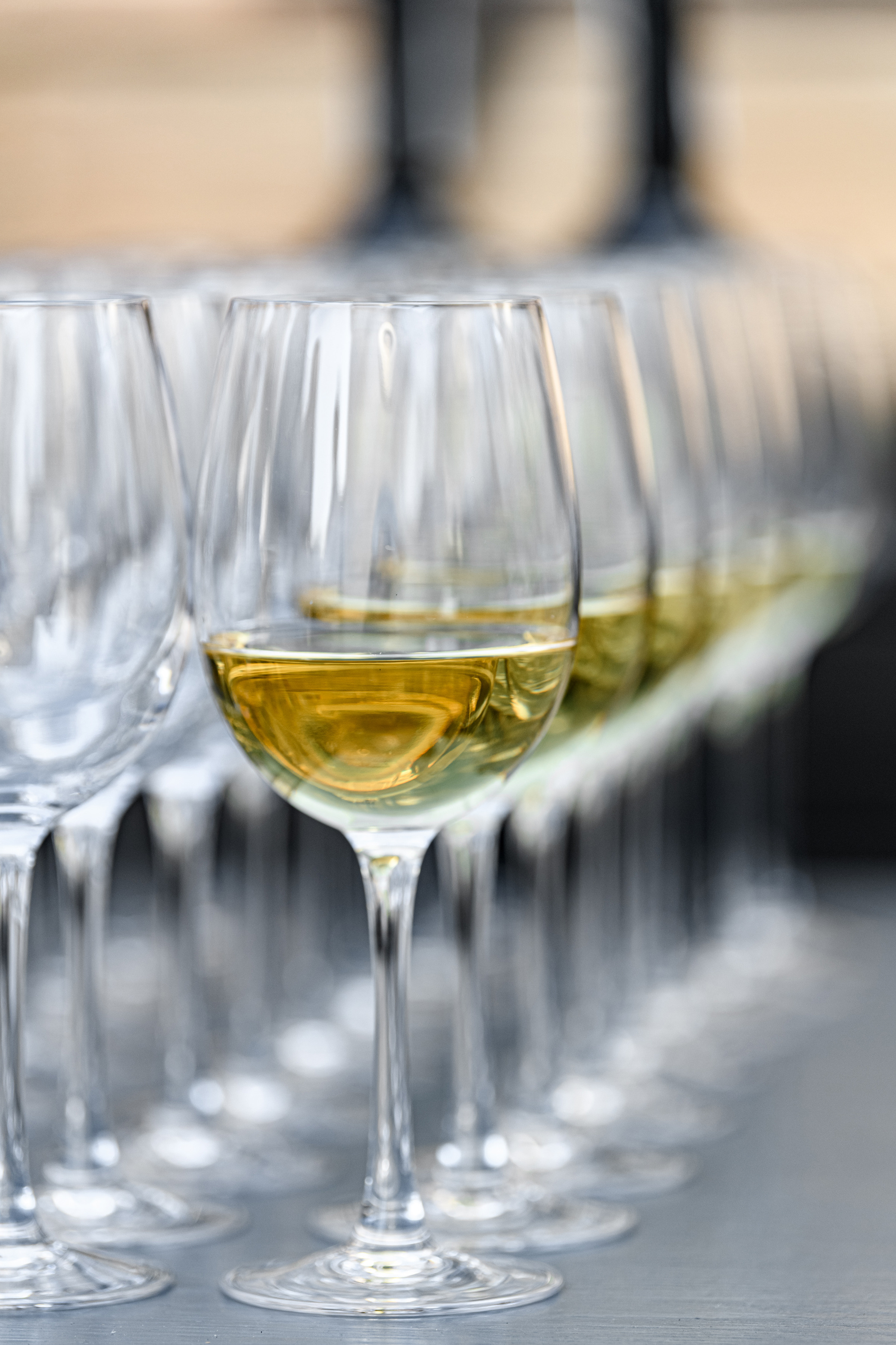 Благодійній концерт від фонду «Мамине серце» — «Твій вихід в світ». Свадебный и семейный фотограф