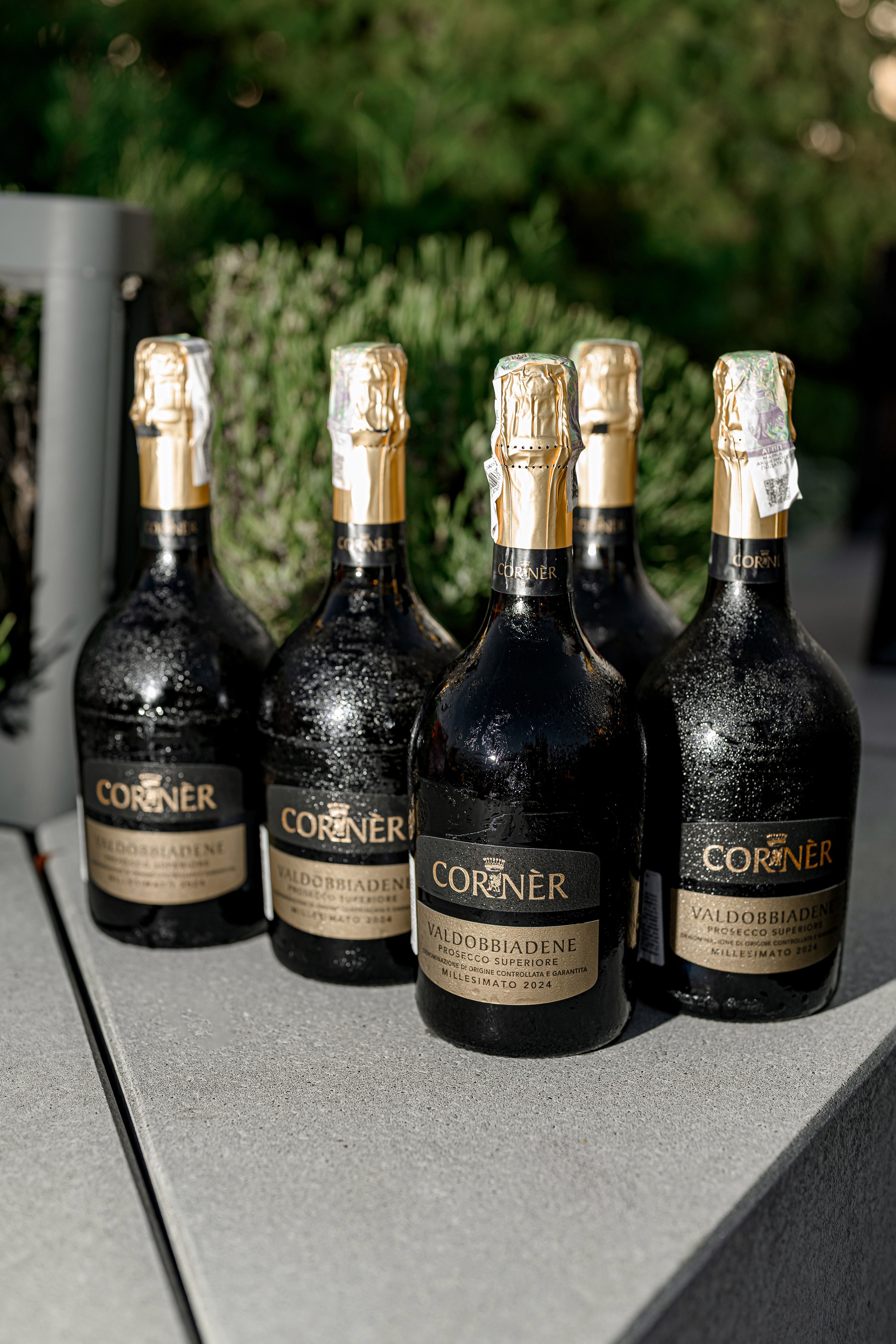 «SIP & TRIP». Свадебный и семейный фотограф