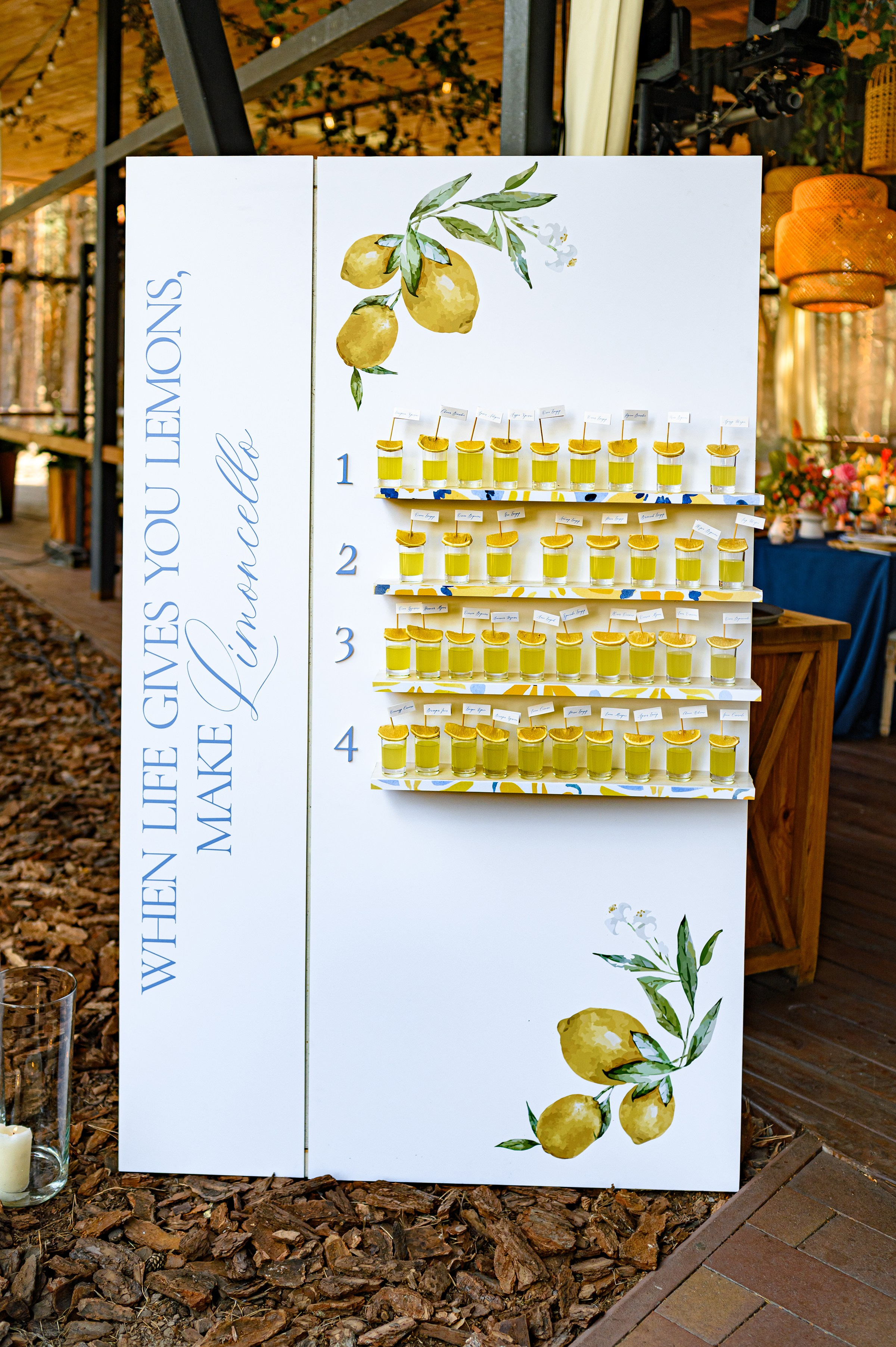 ОЛЕКСІЙ & ЯРОСЛАВА. Свадебный и семейный фотограф