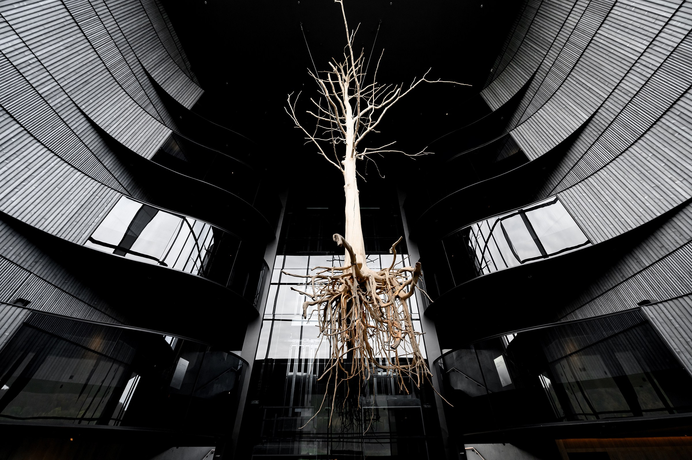 ВАГЕ & СВІТЛАНА. Свадебный и семейный фотограф