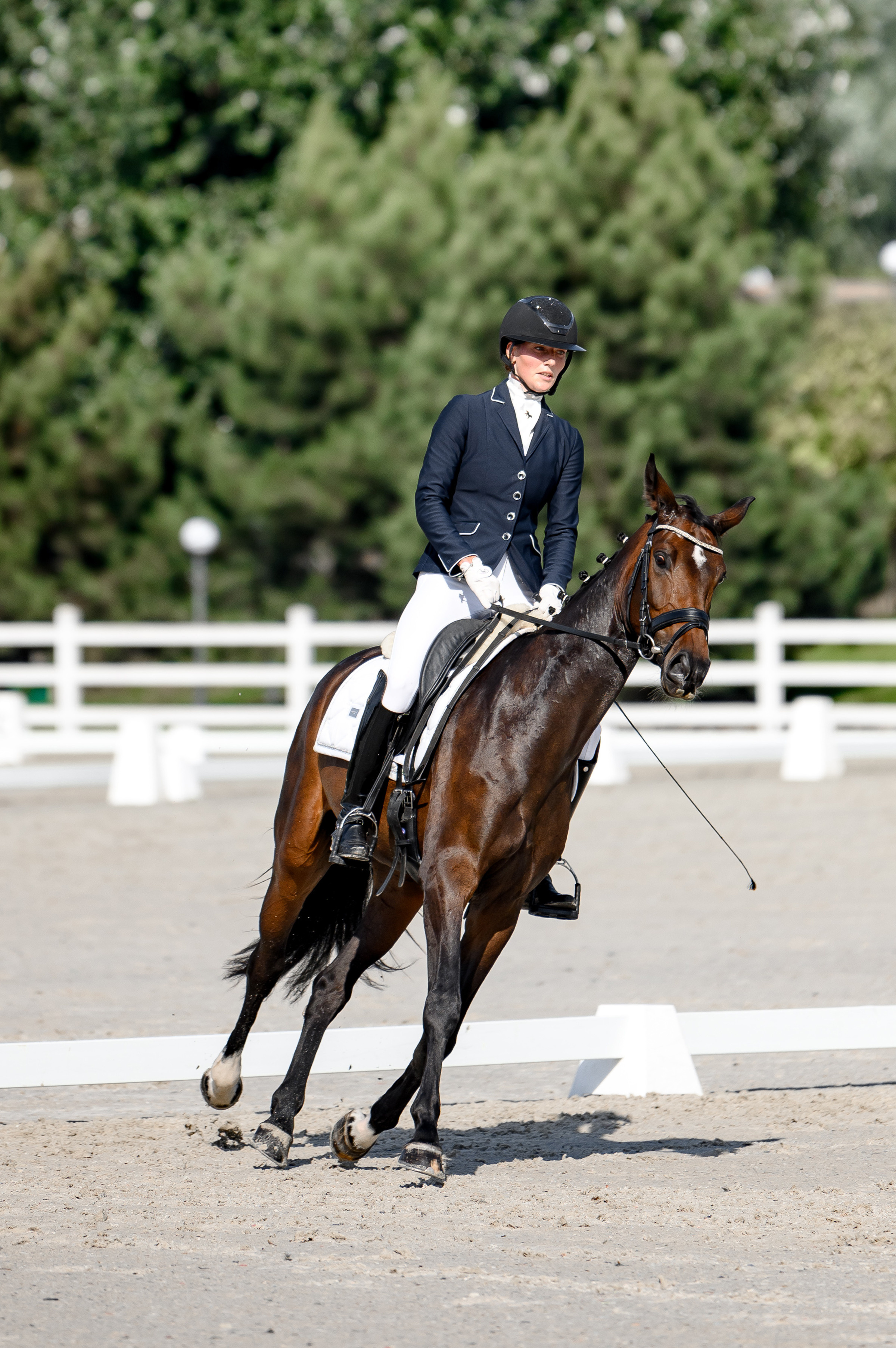 «DRESSAGE EQUIDES CUP 2023». Свадебный и семейный фотограф