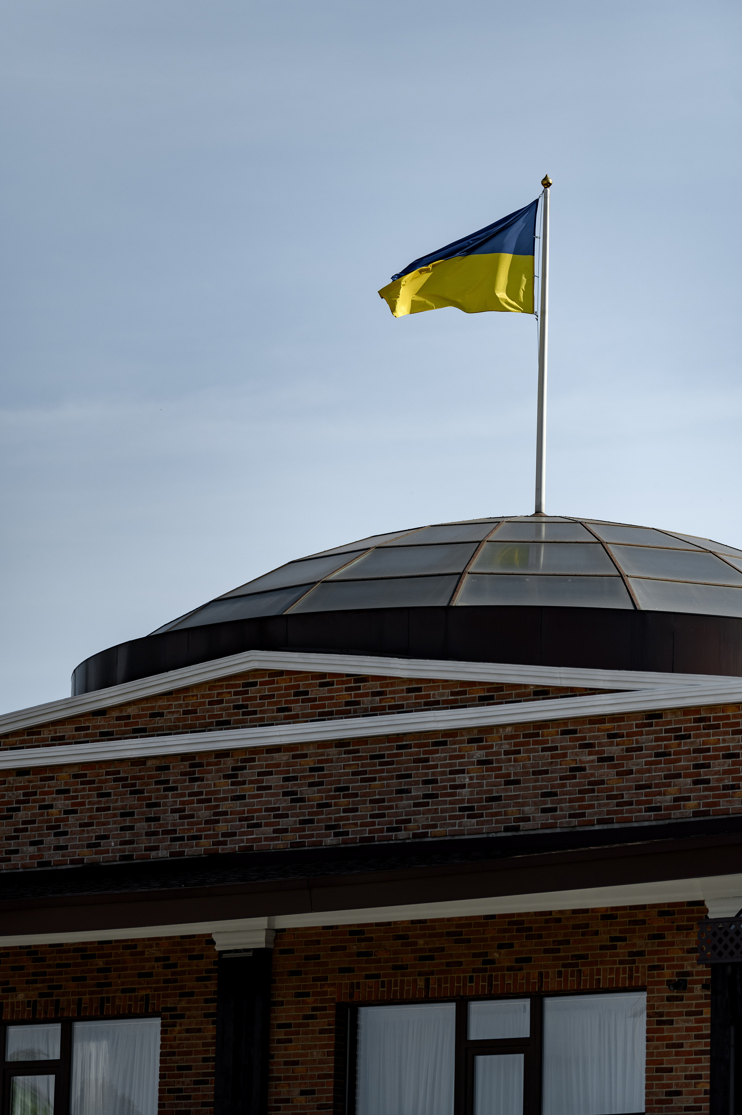 «DRESSAGE EQUIDES CUP 2023». Свадебный и семейный фотограф