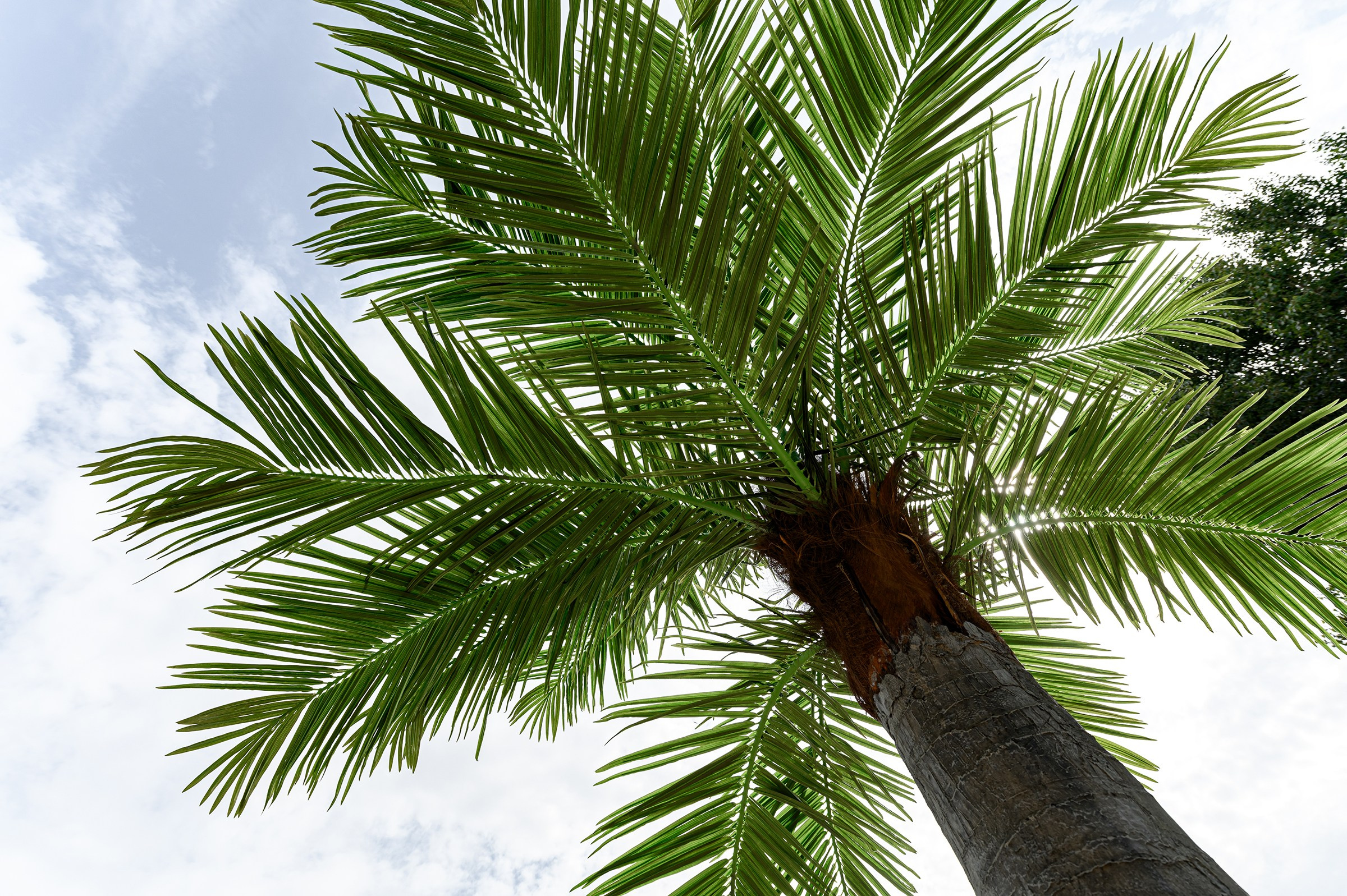 «Birthday Party». Свадебный и семейный фотограф