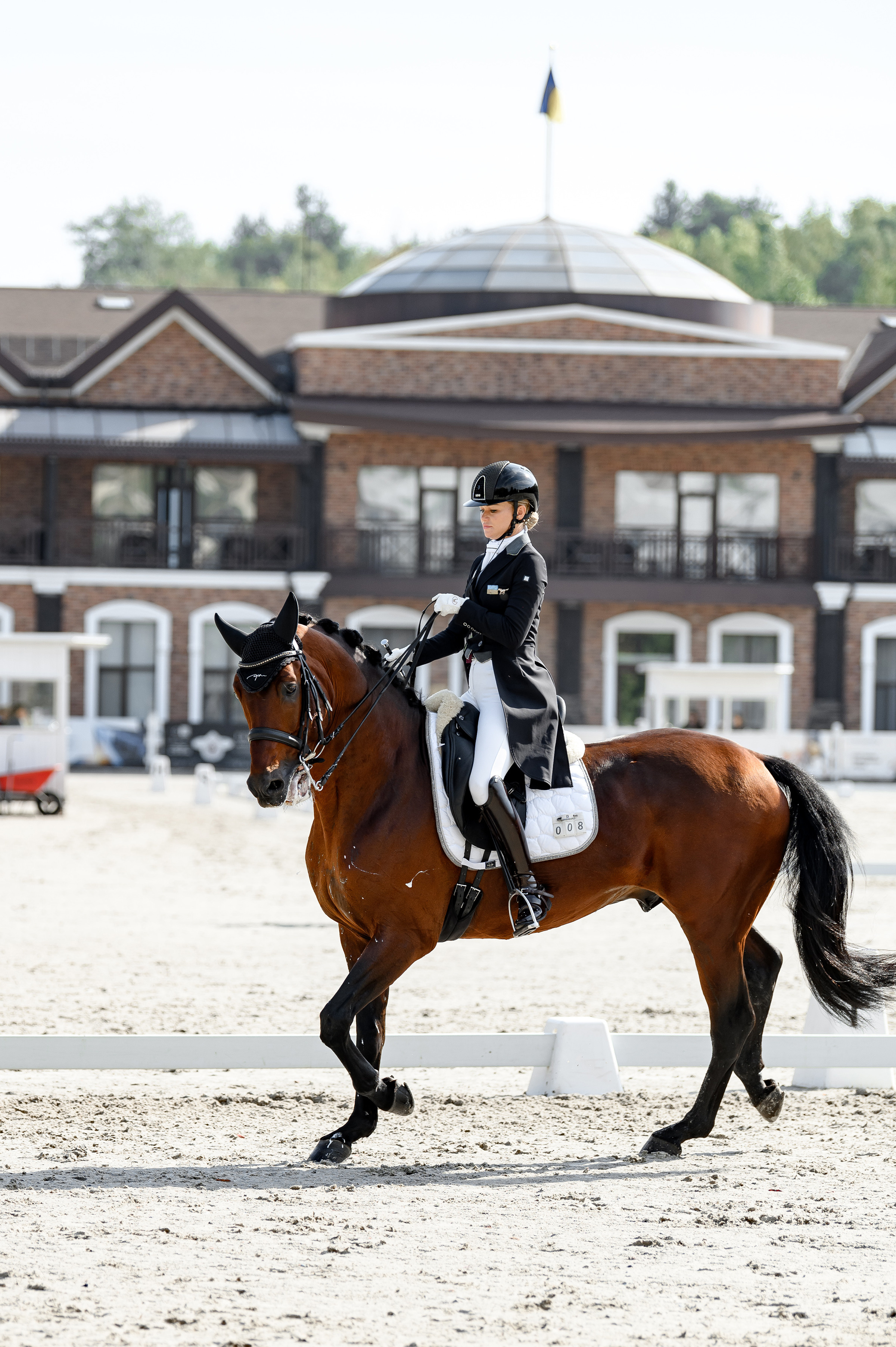 «DRESSAGE EQUIDES CUP 2023». Свадебный и семейный фотограф