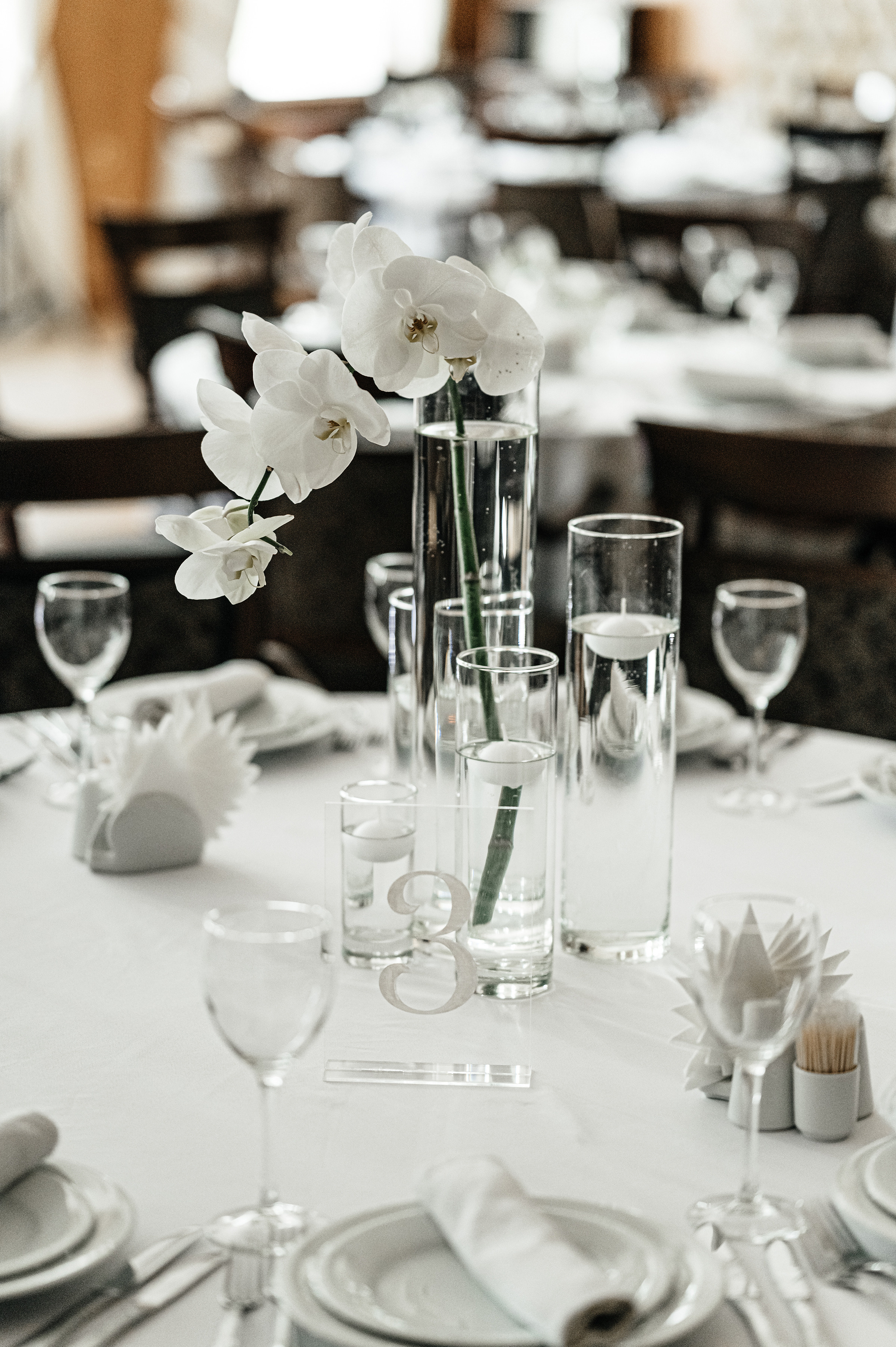 Артур & Єлизавета. Свадебный и семейный фотограф