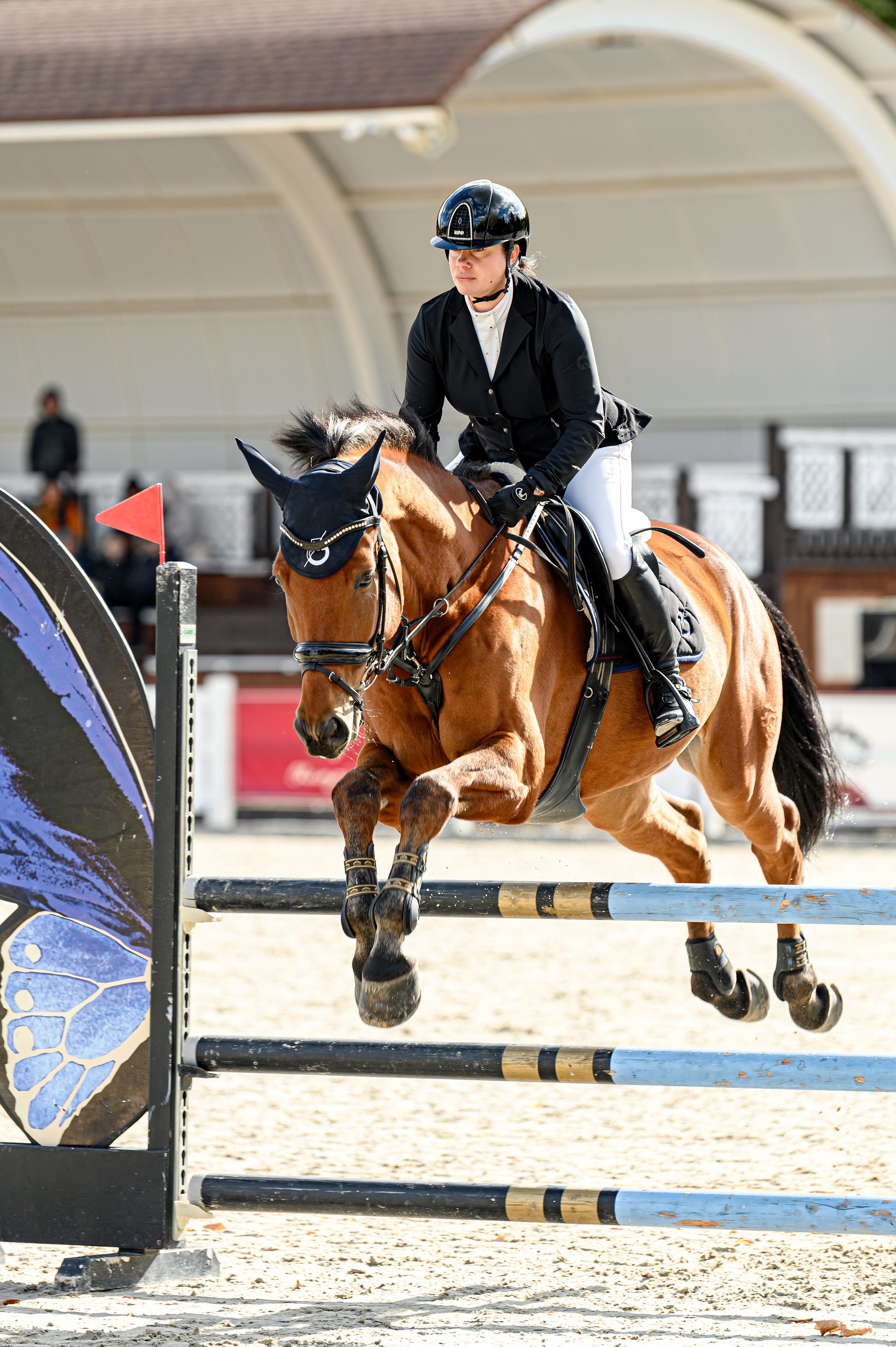 EQUIDES CUP 2023. Свадебный и семейный фотограф