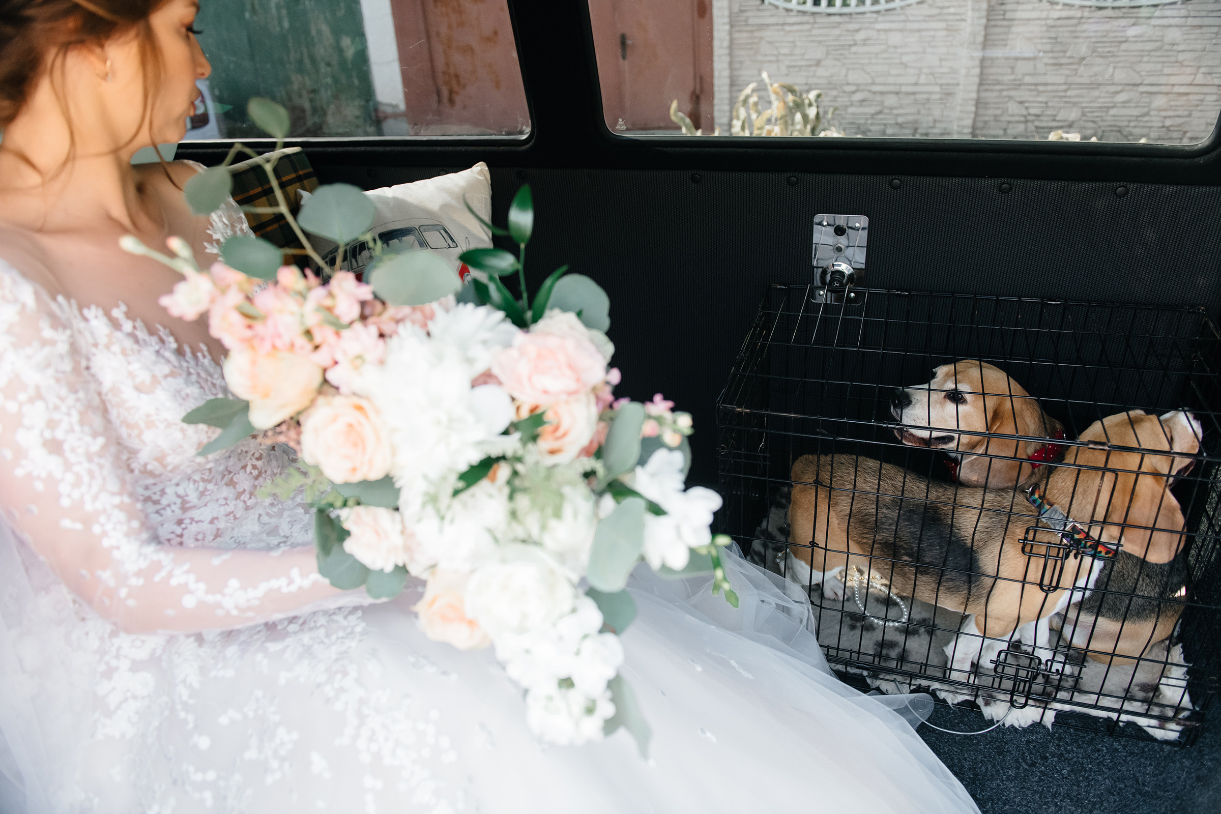 Олег & Юлія. Свадебный и семейный фотограф