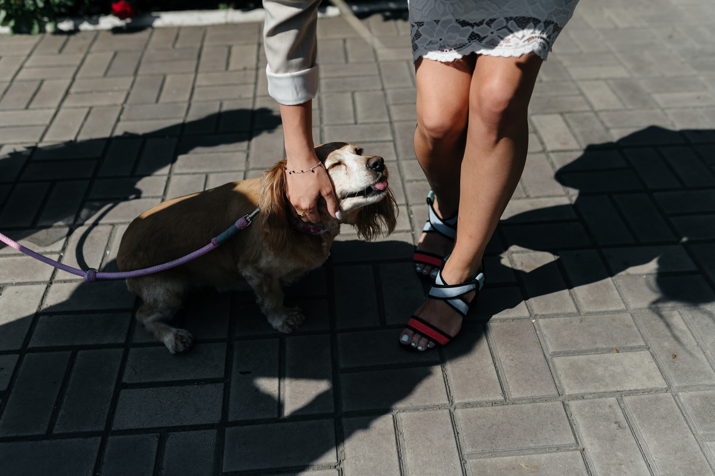Сергій & Юлія. Свадебный и семейный фотограф