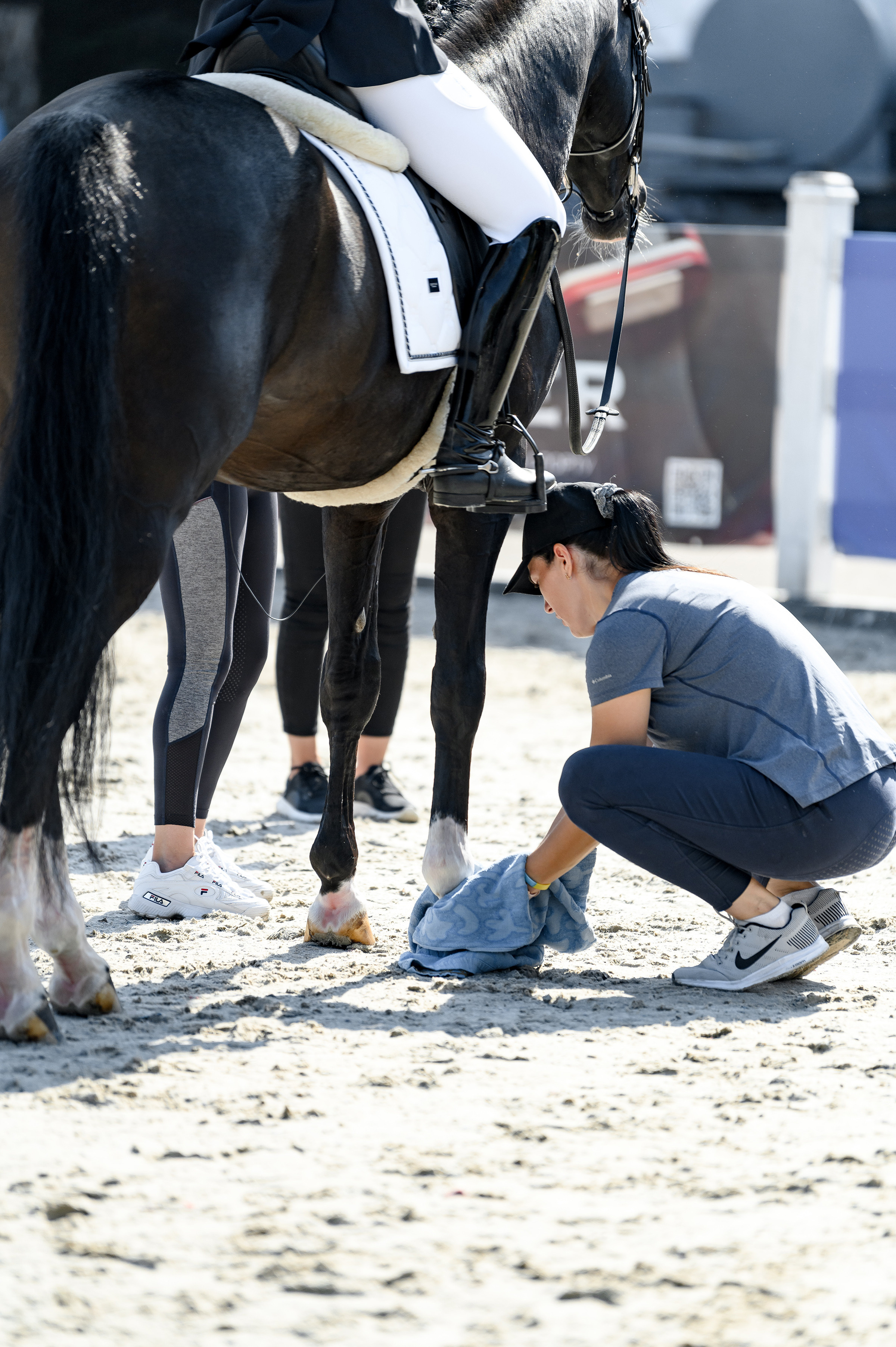 «DRESSAGE EQUIDES CUP 2023». Свадебный и семейный фотограф