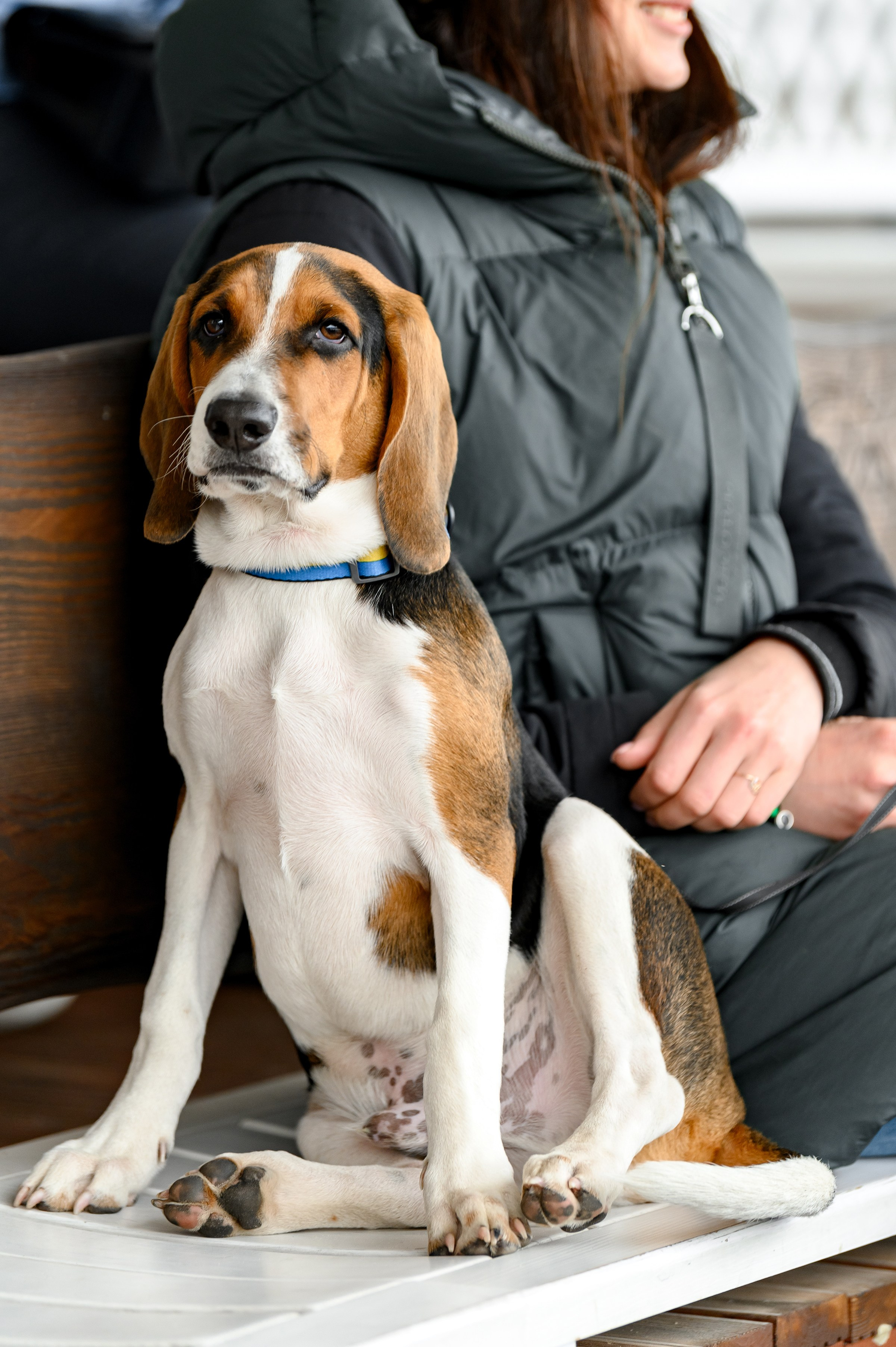 EQUIDES CUP 2023. Свадебный и семейный фотограф