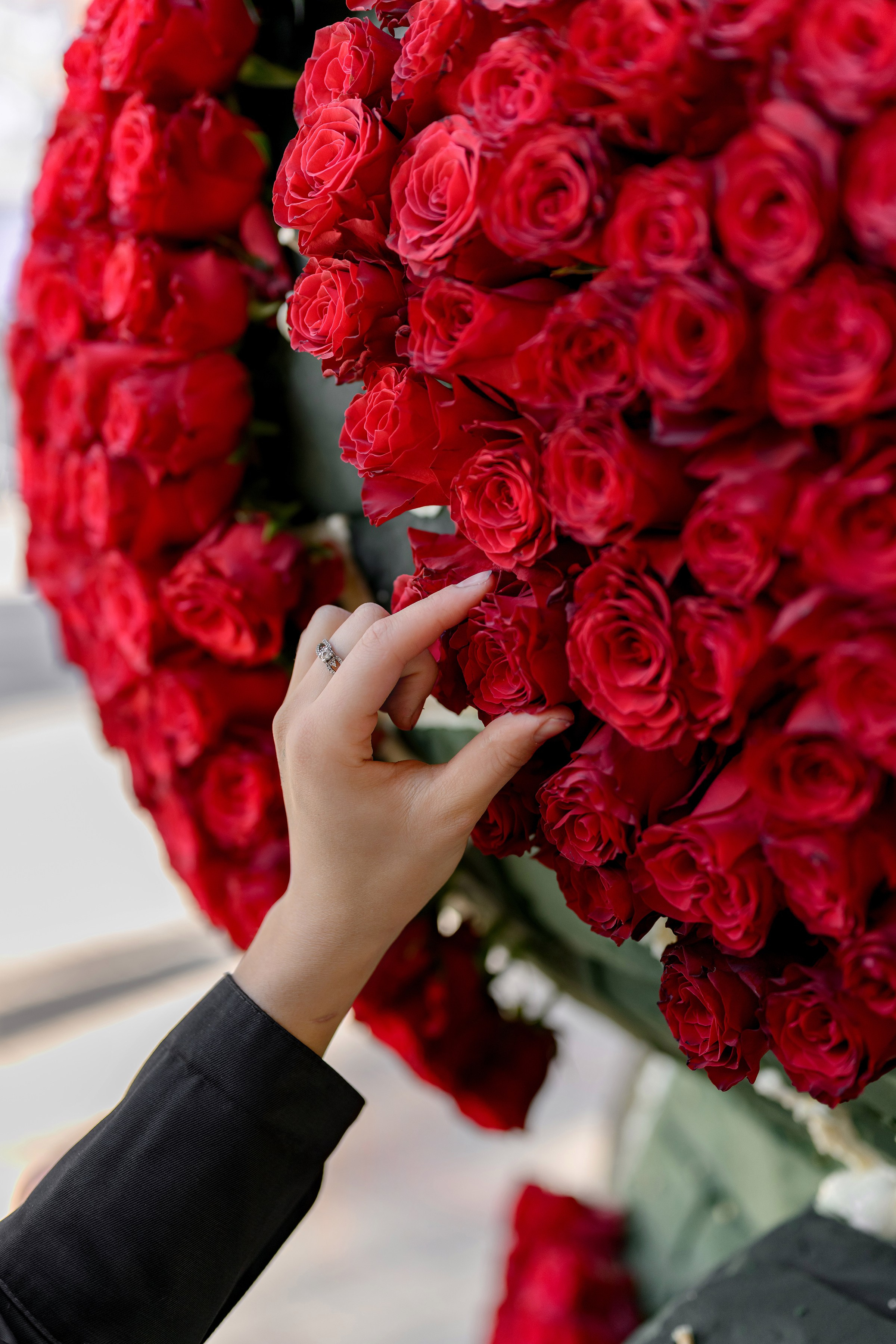 «FREESIA». Свадебный и семейный фотограф