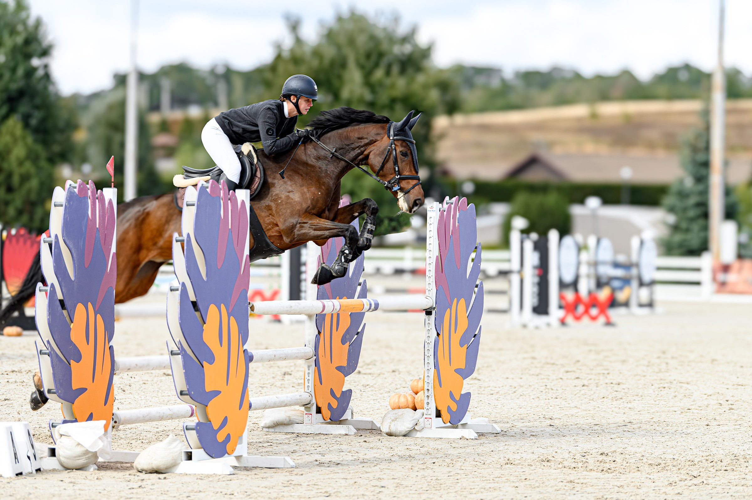 EQUIDES CUP 2023. Свадебный и семейный фотограф