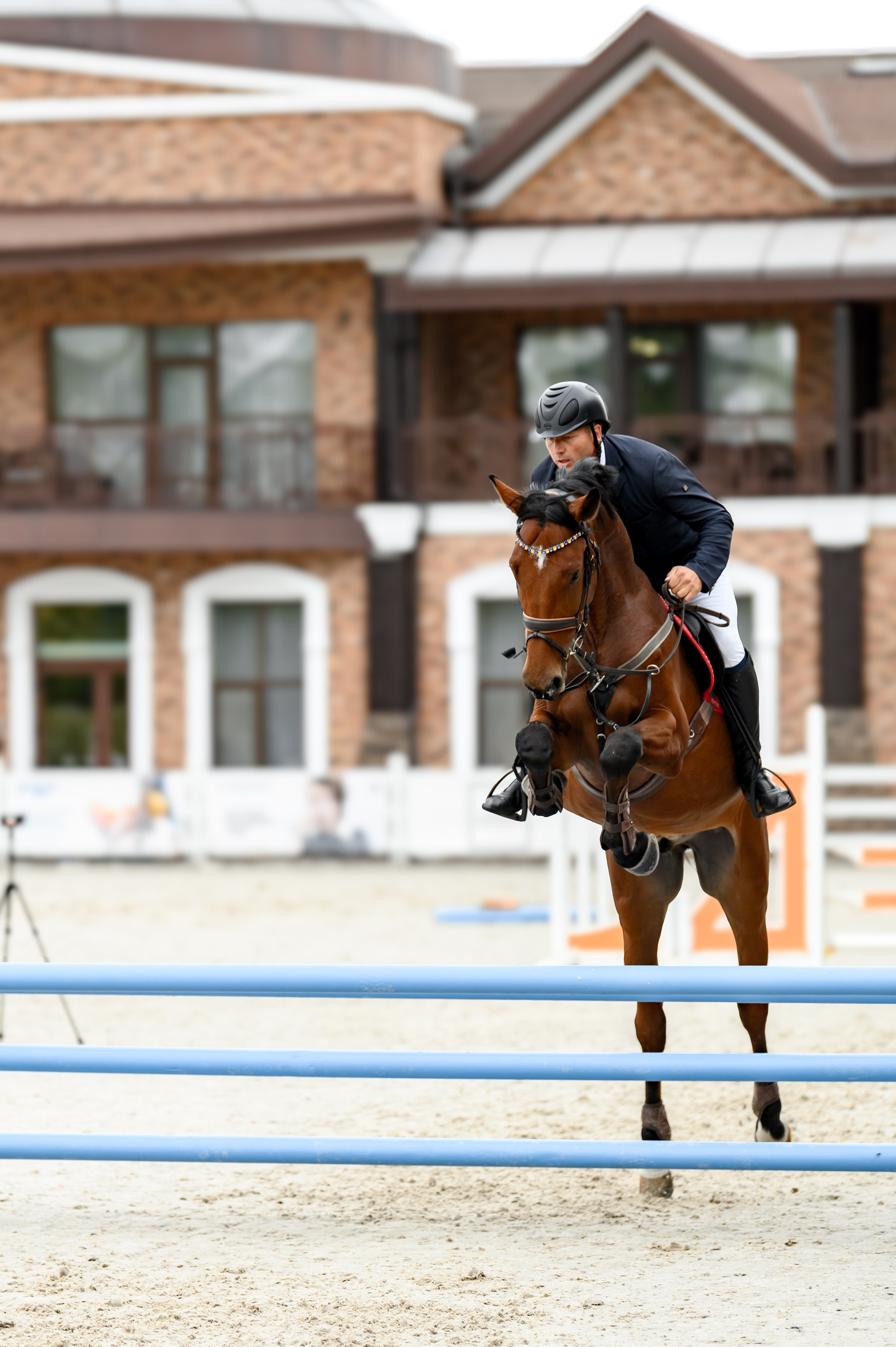 EQUIDES CUP 2023. Свадебный и семейный фотограф