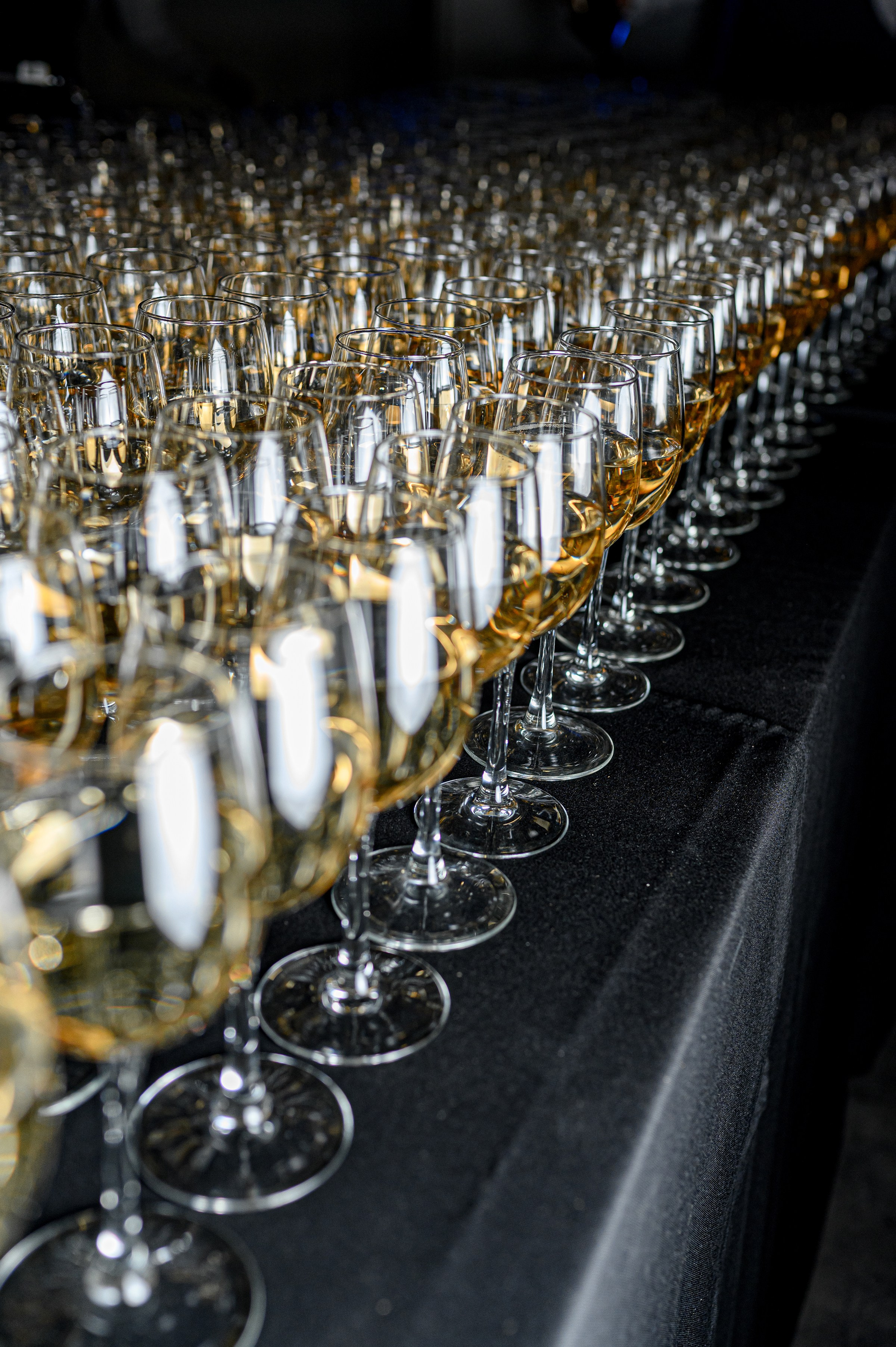 " CHAMPION FEST 2024 ". Свадебный и семейный фотограф