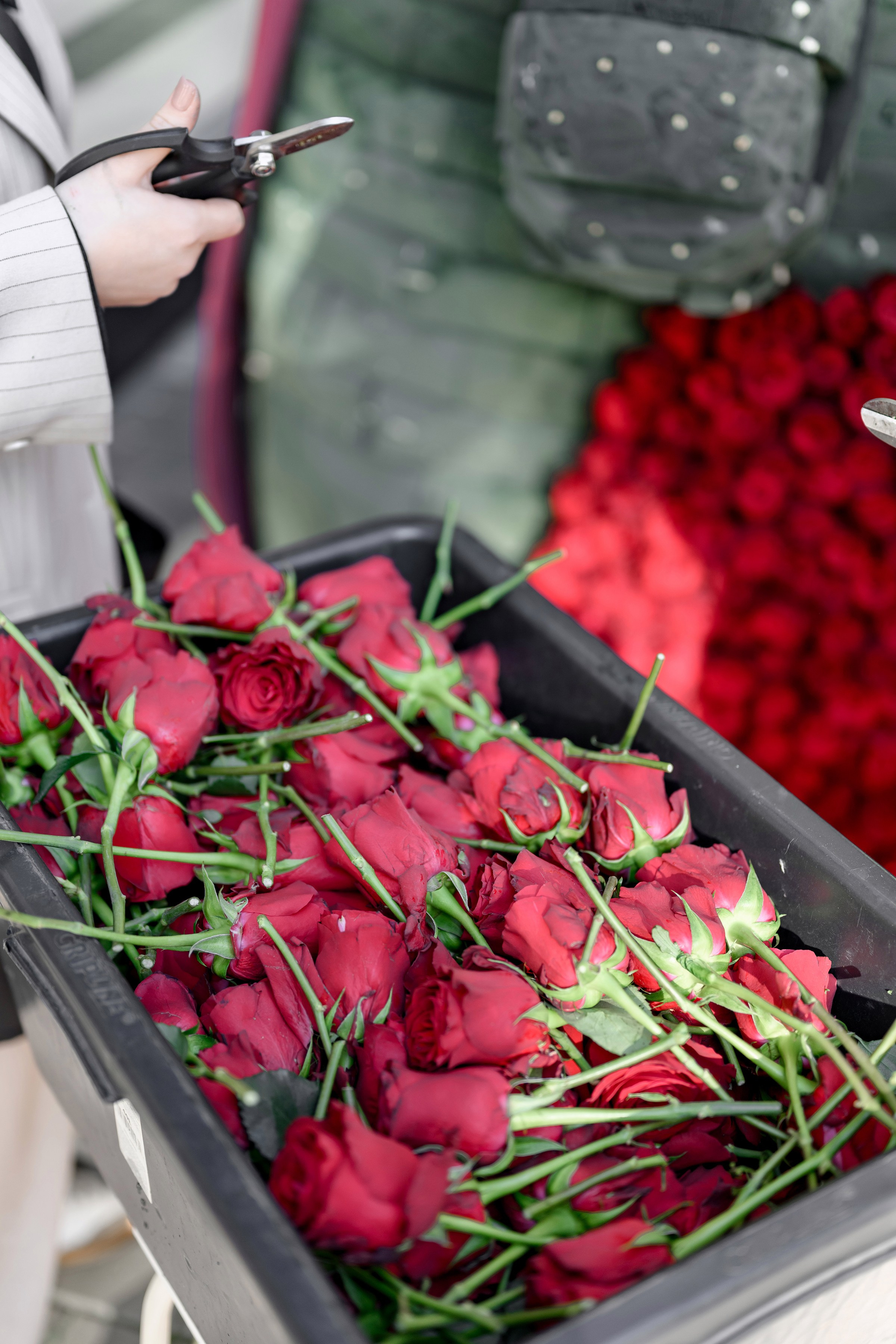 «FREESIA». Свадебный и семейный фотограф