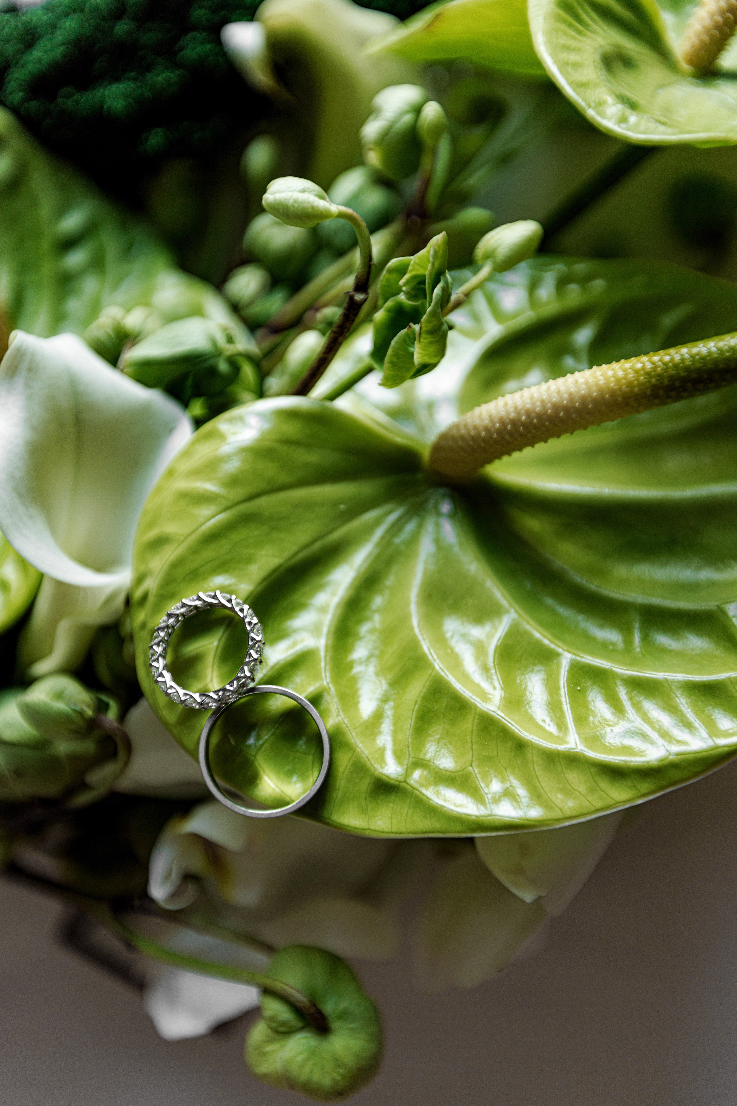 ОЛЕКСІЙ & ДІАНА. Свадебный и семейный фотограф