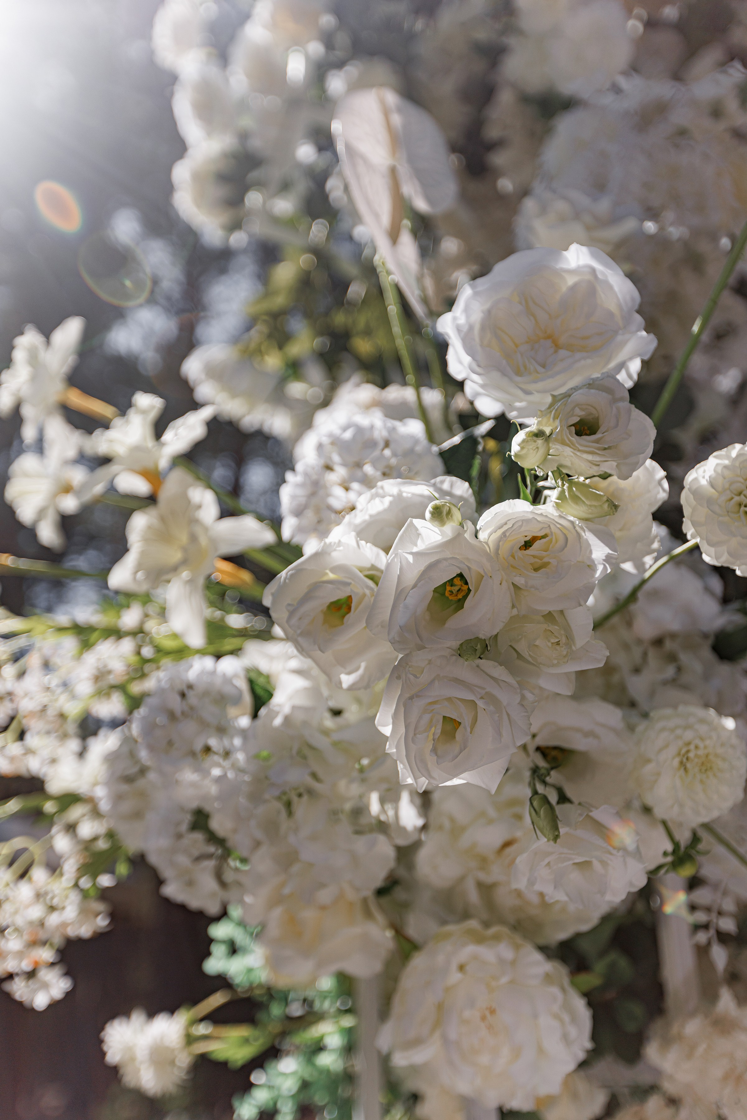 ANNA & BORIS. Свадебный и семейный фотограф