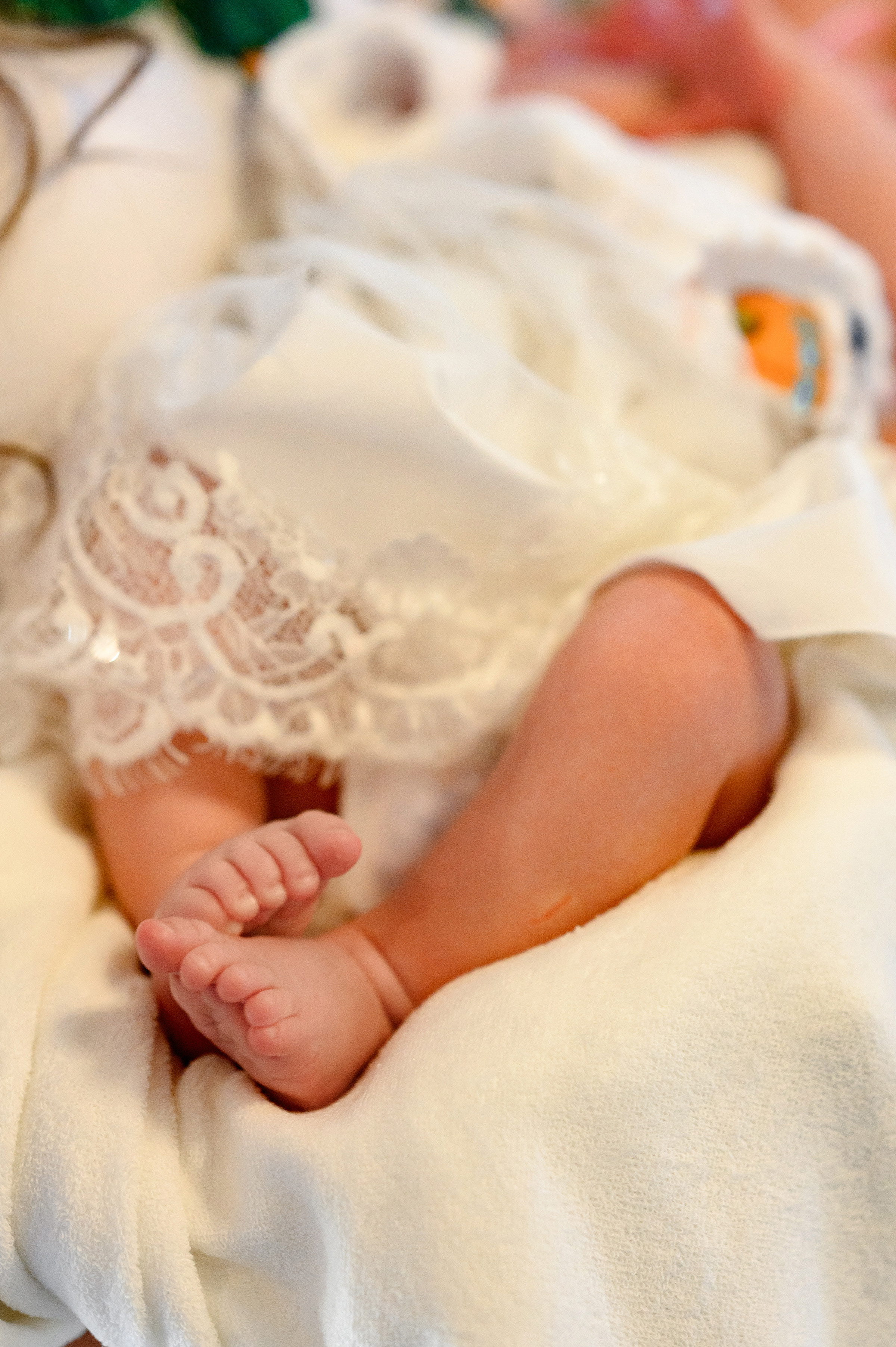 Михайлівський Золотоверхий собор. Свадебный и семейный фотограф