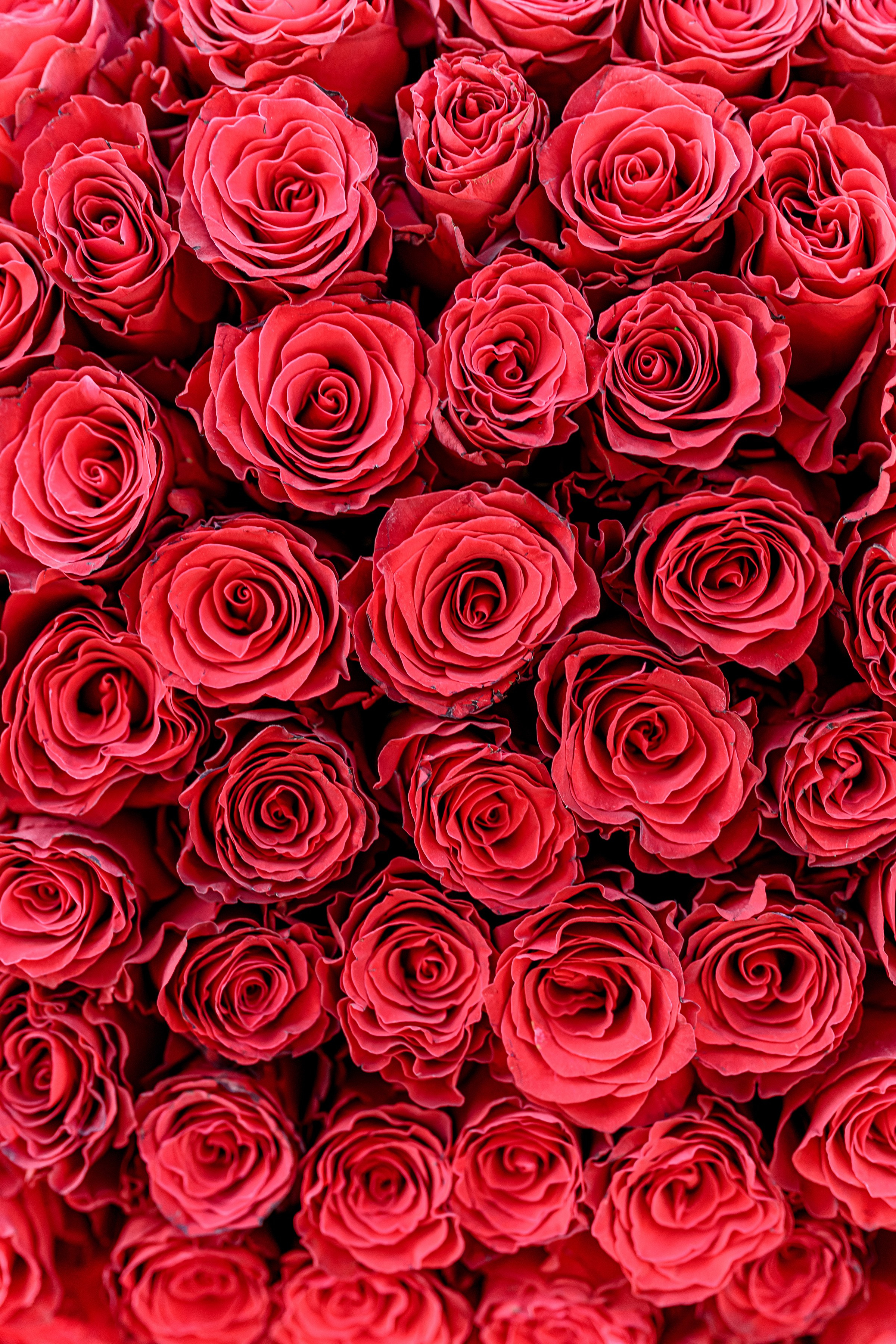 «FREESIA». Свадебный и семейный фотограф