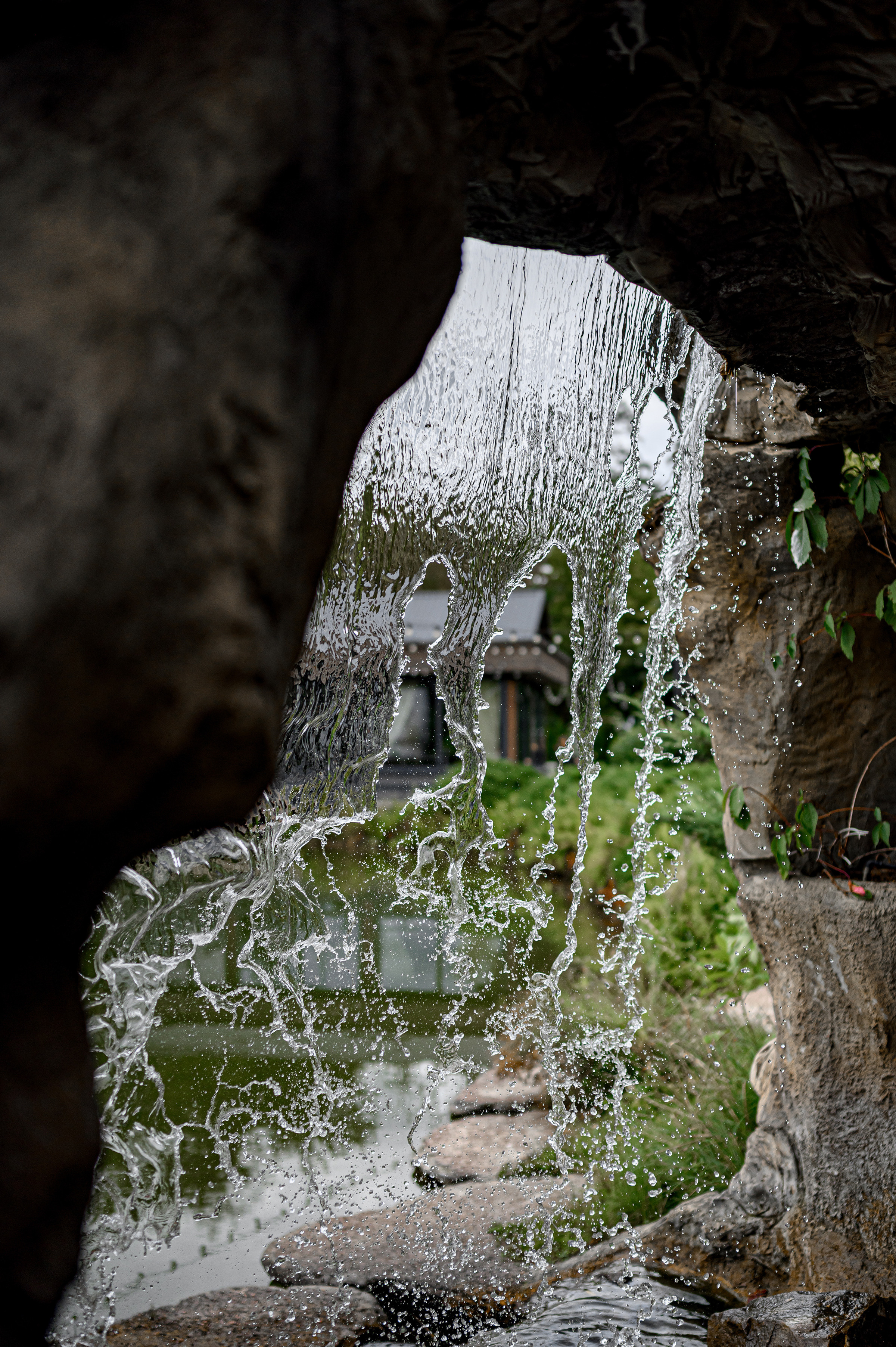 D I A N A «Happy Birthday». Свадебный и семейный фотограф