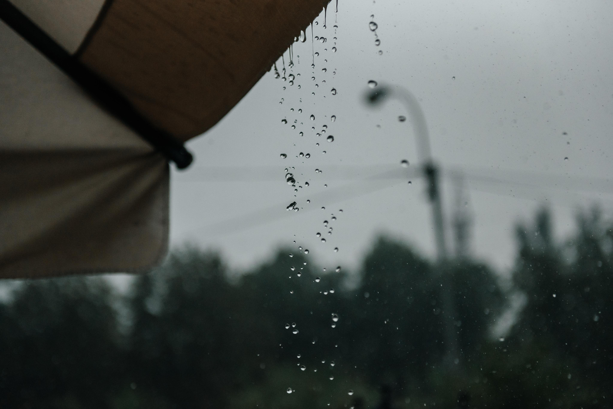 Руслан & Тамара. Свадебный и семейный фотограф