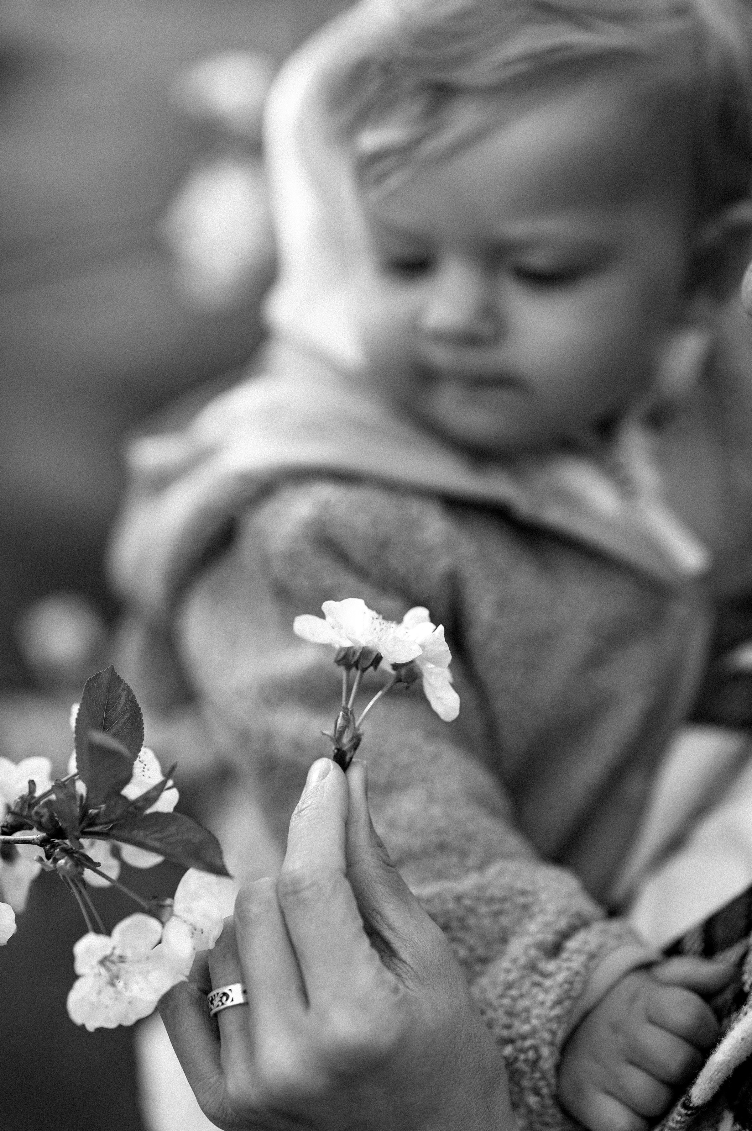 F A M I L Y. Свадебный и семейный фотограф