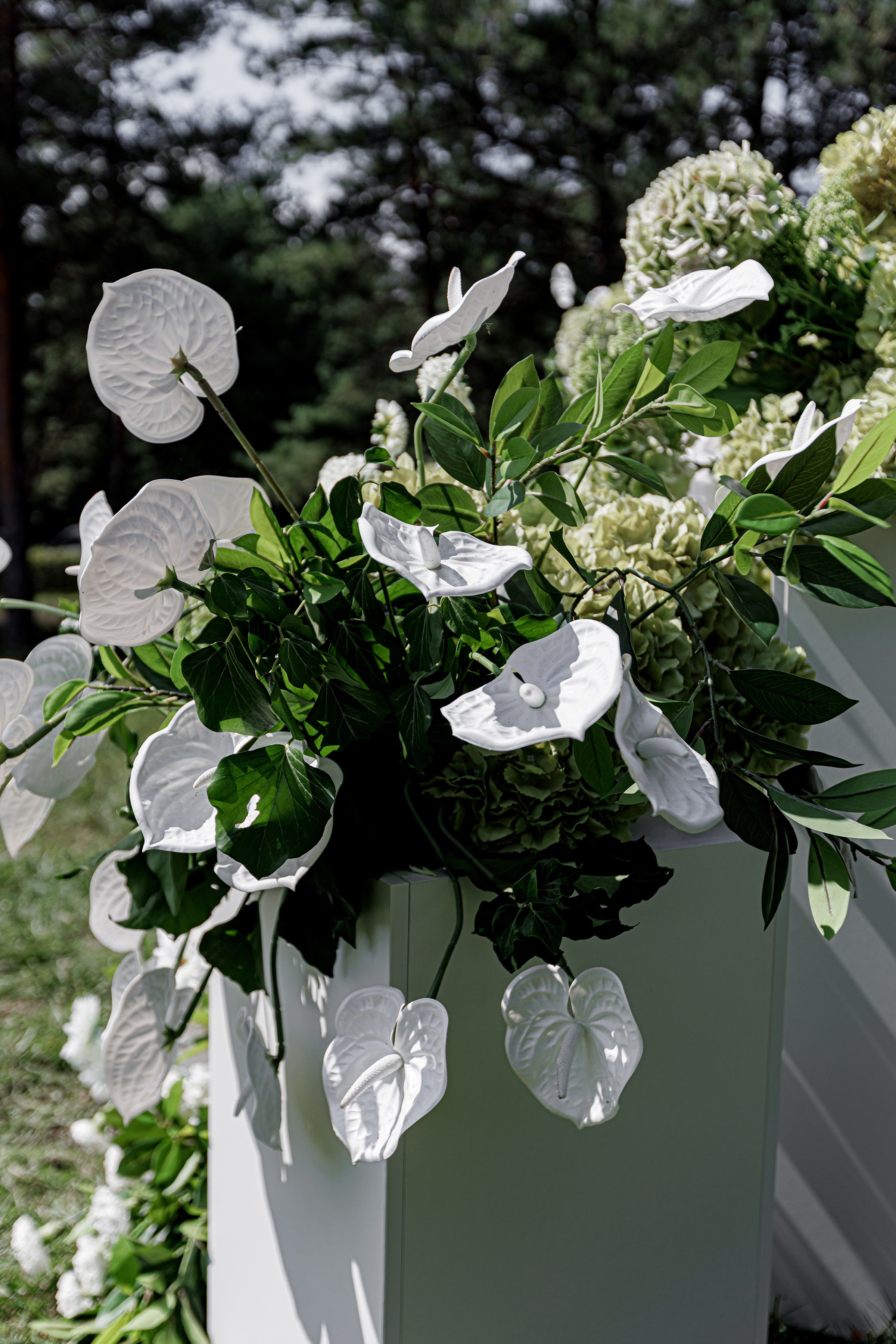 ОЛЕКСІЙ & ДІАНА. Свадебный и семейный фотограф