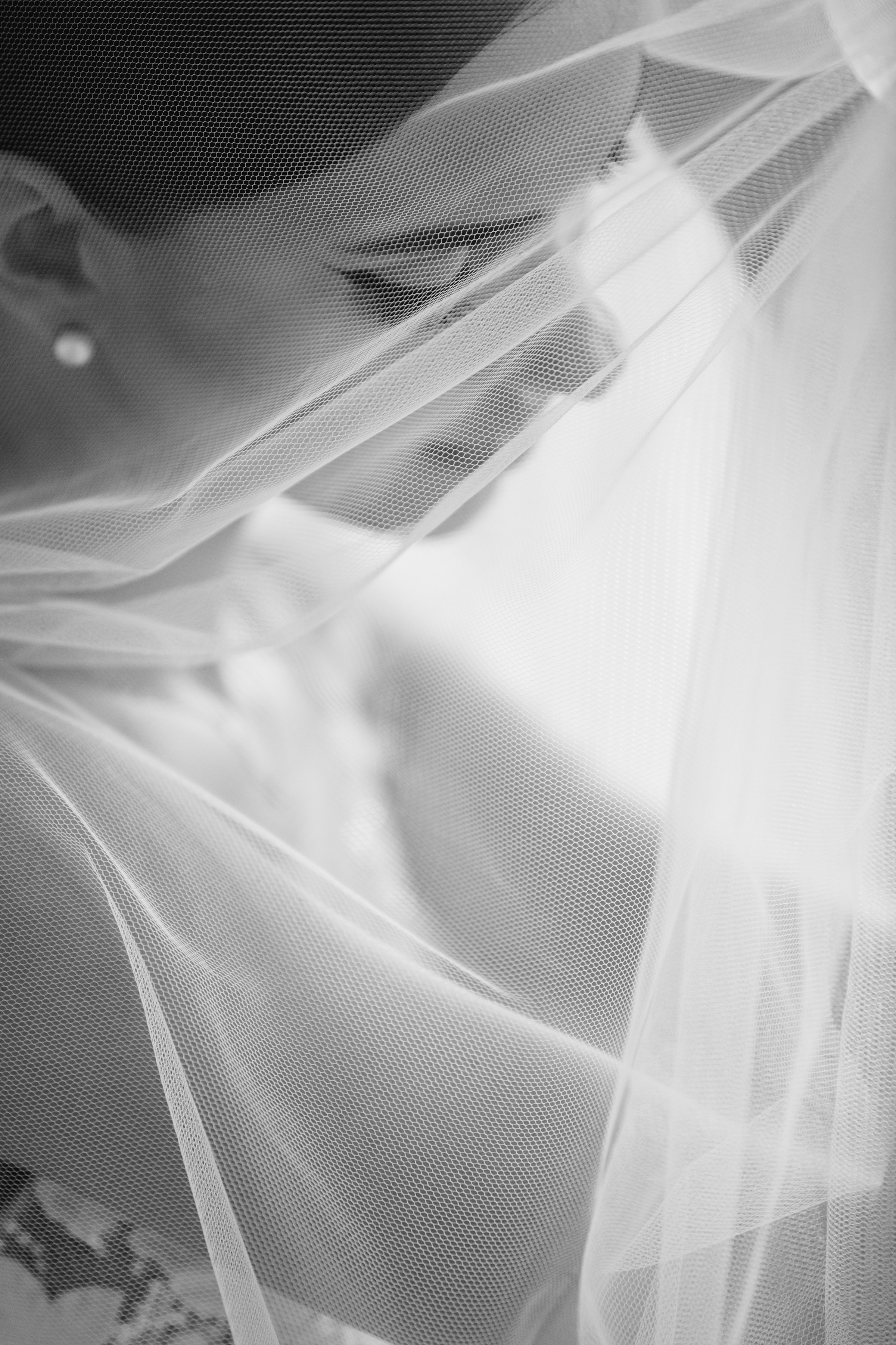 Євген & Анастасія. Свадебный и семейный фотограф