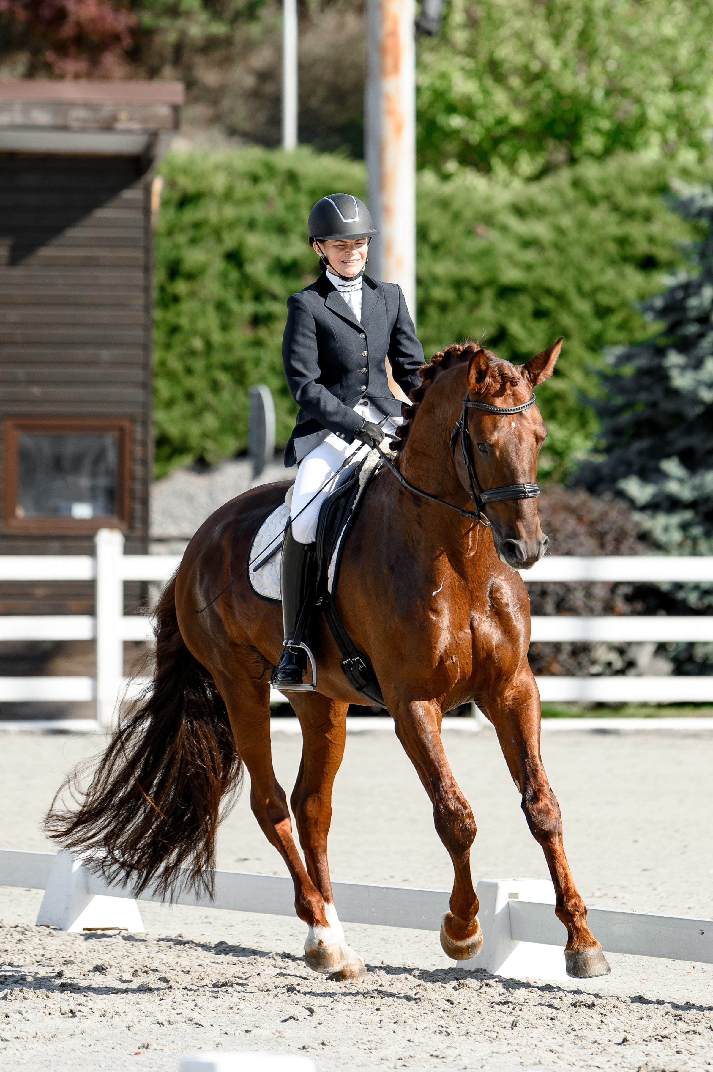 «DRESSAGE EQUIDES CUP 2023». Свадебный и семейный фотограф