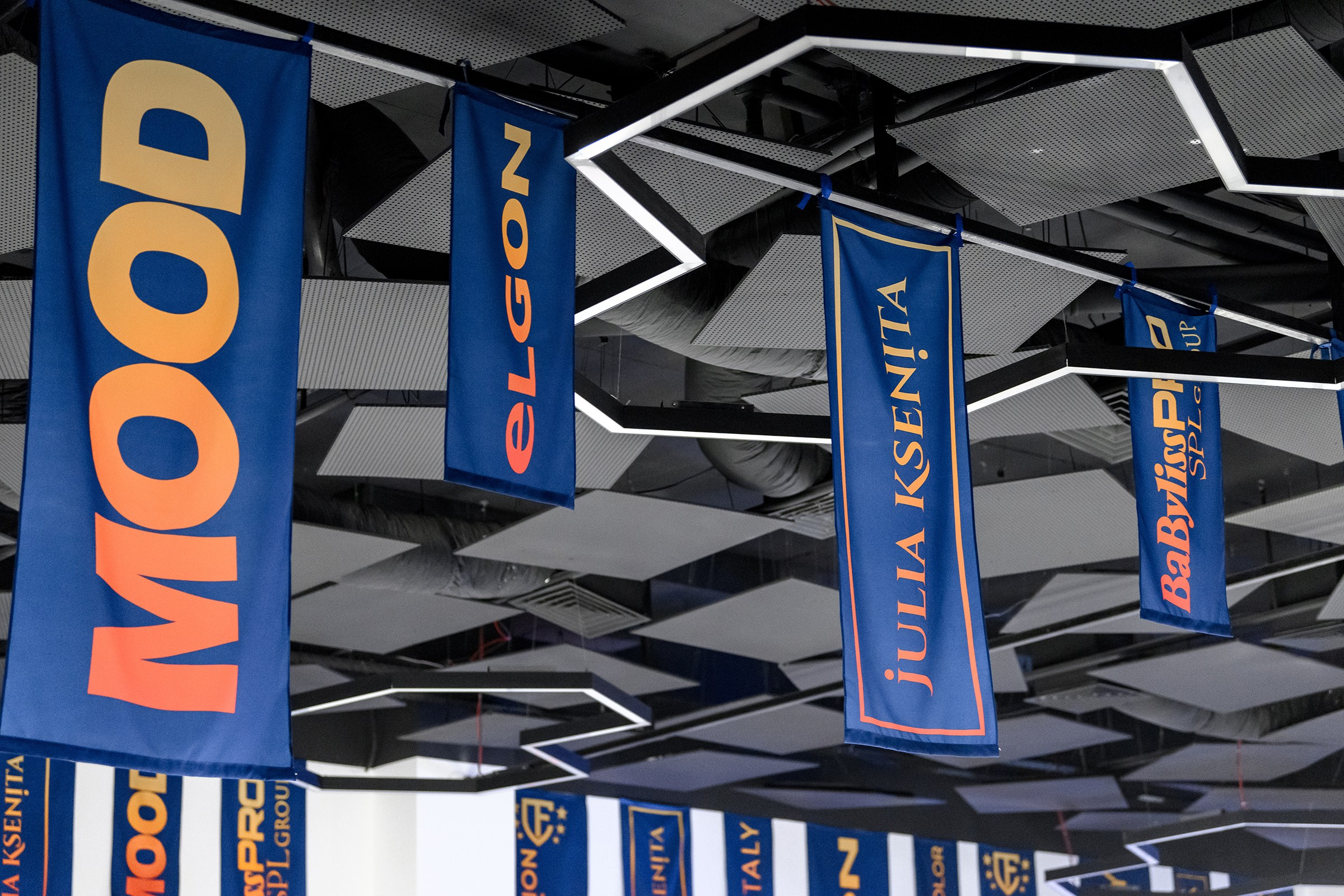 «CHAMPION FEST 2025». Свадебный и семейный фотограф