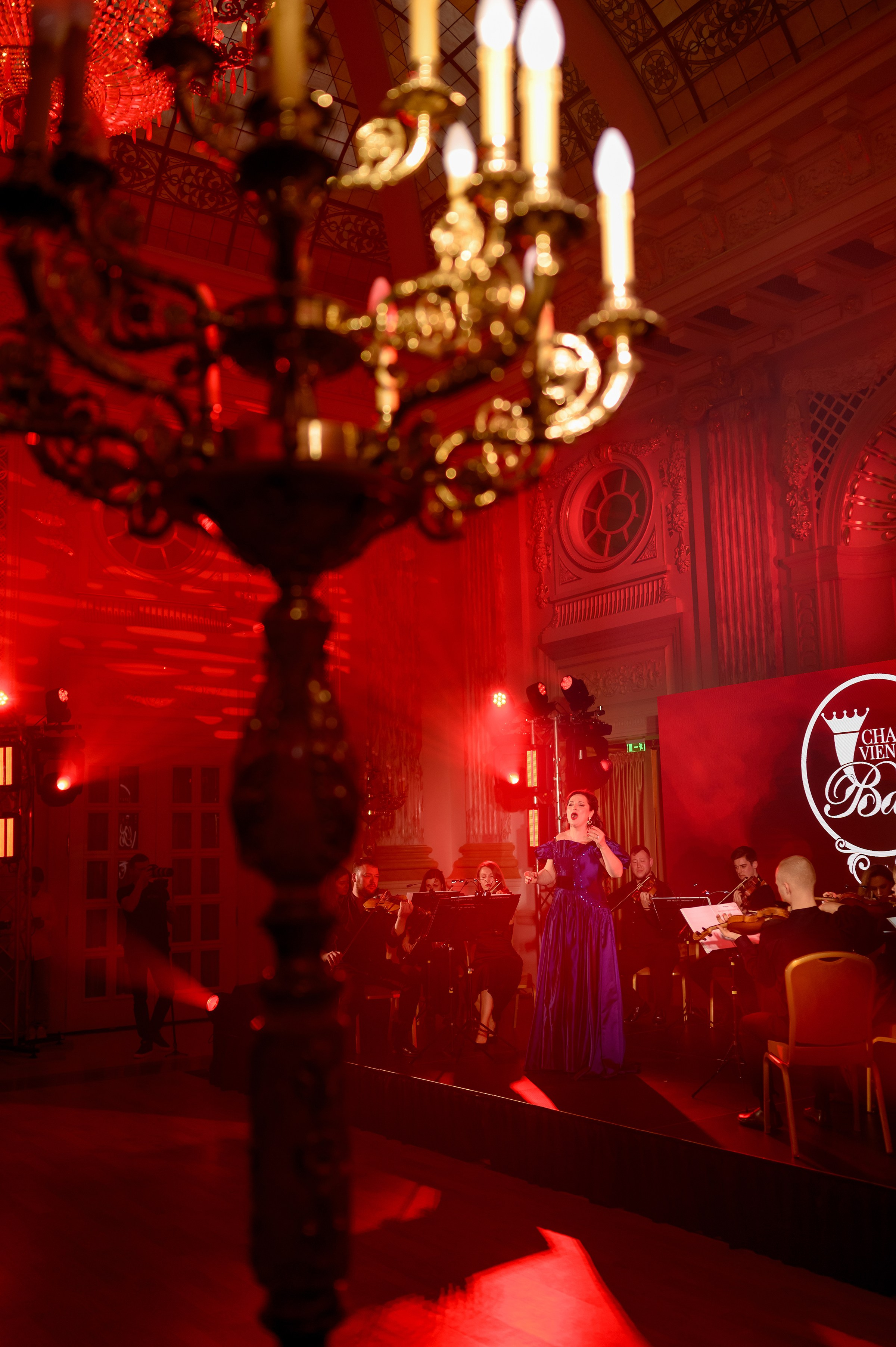 ''CHARITY VIENNESE BALL''. Свадебный и семейный фотограф