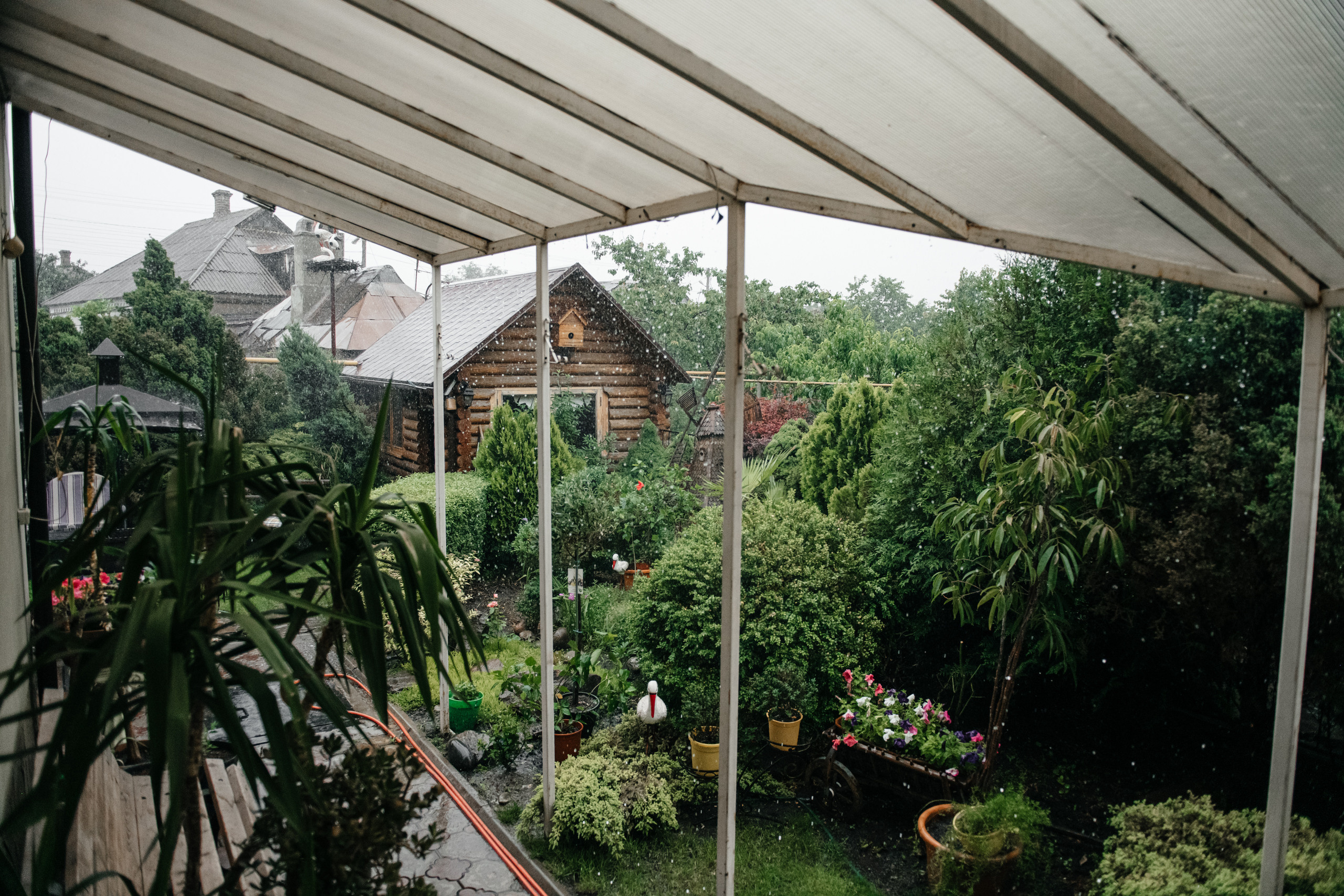 Тимофій & Тетяна. Свадебный и семейный фотограф