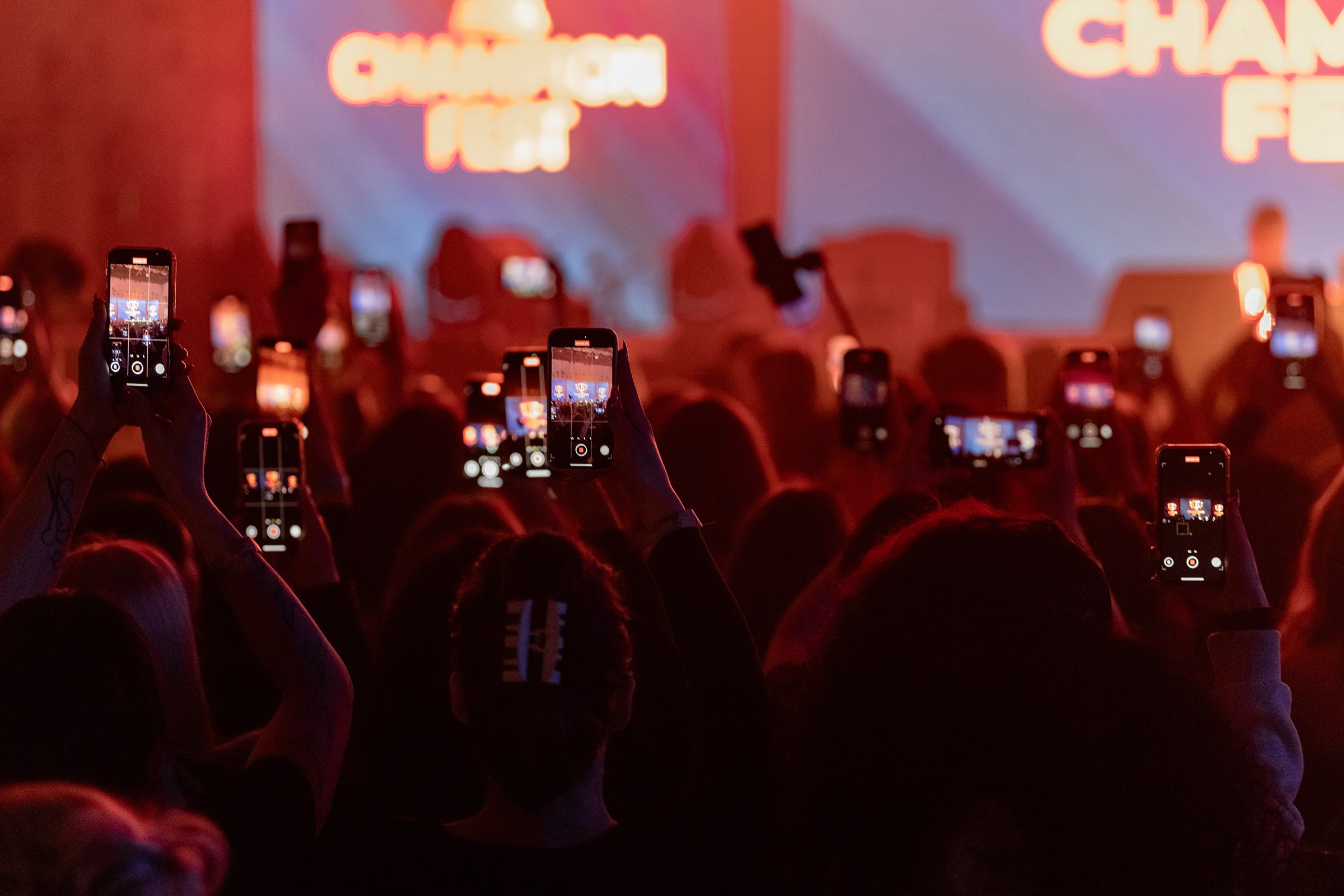 «CHAMPION FEST 2025». Свадебный и семейный фотограф