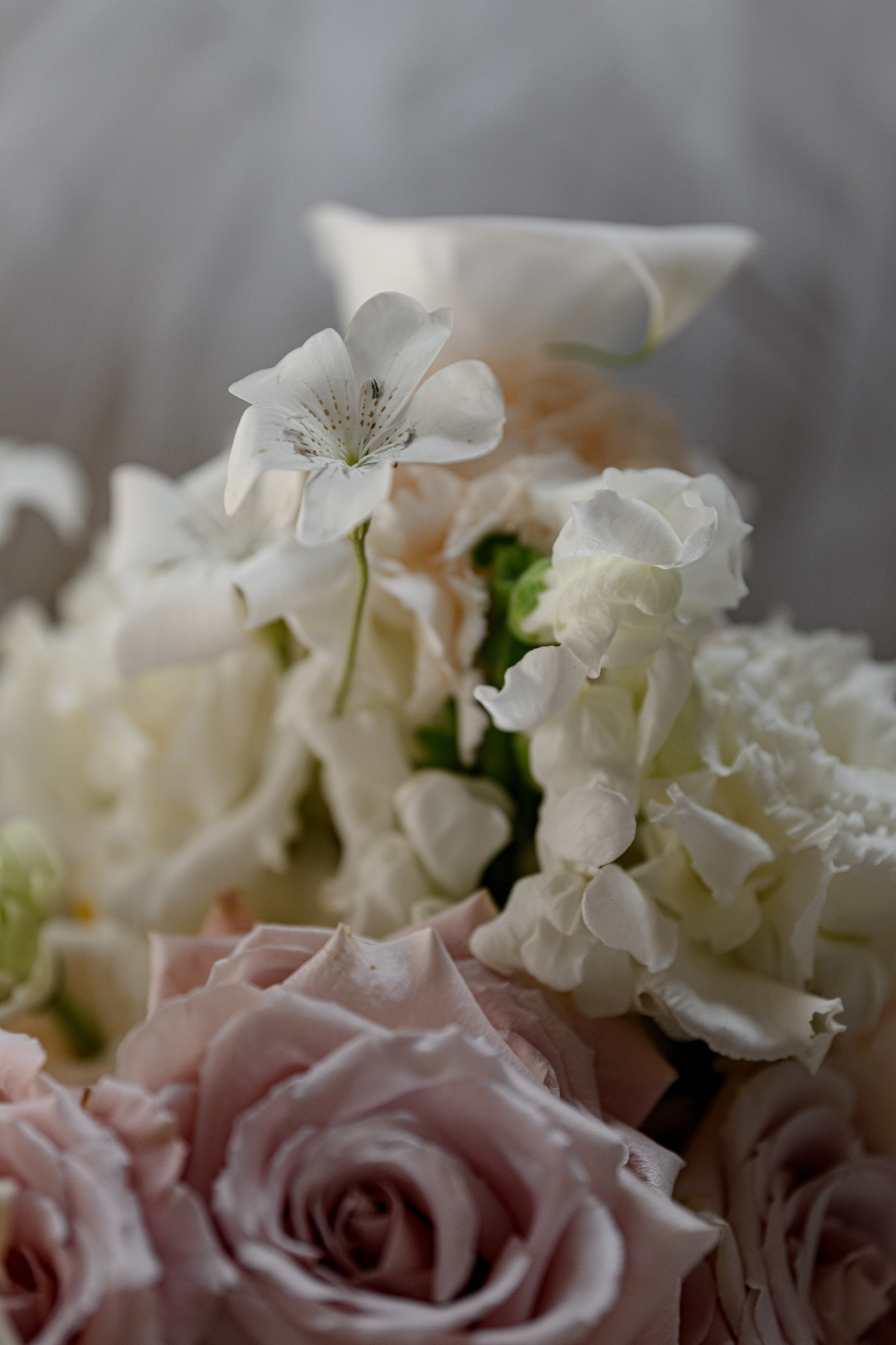 LIZA & RUSLAN. Свадебный и семейный фотограф