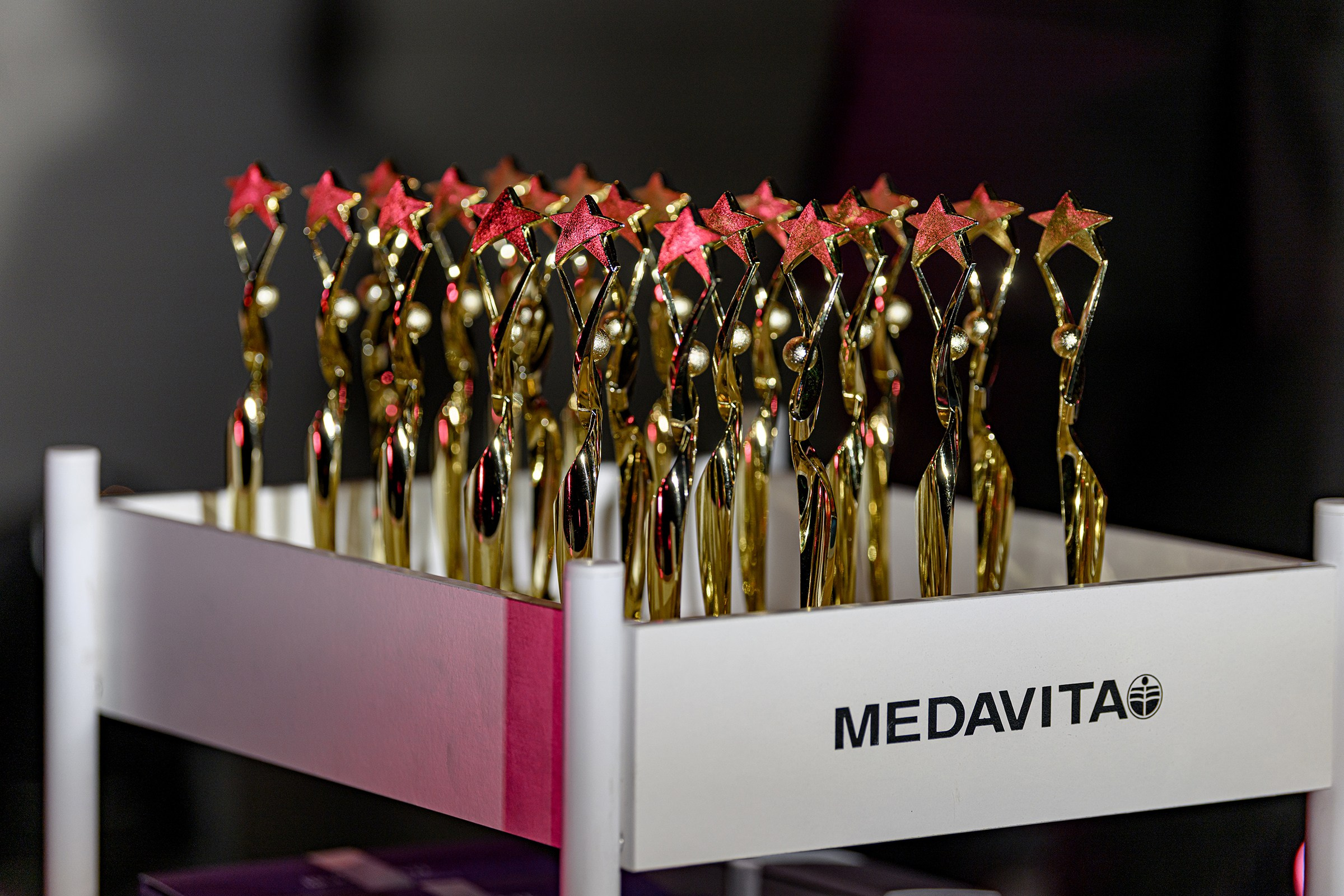 «MEDAVITA». Свадебный и семейный фотограф