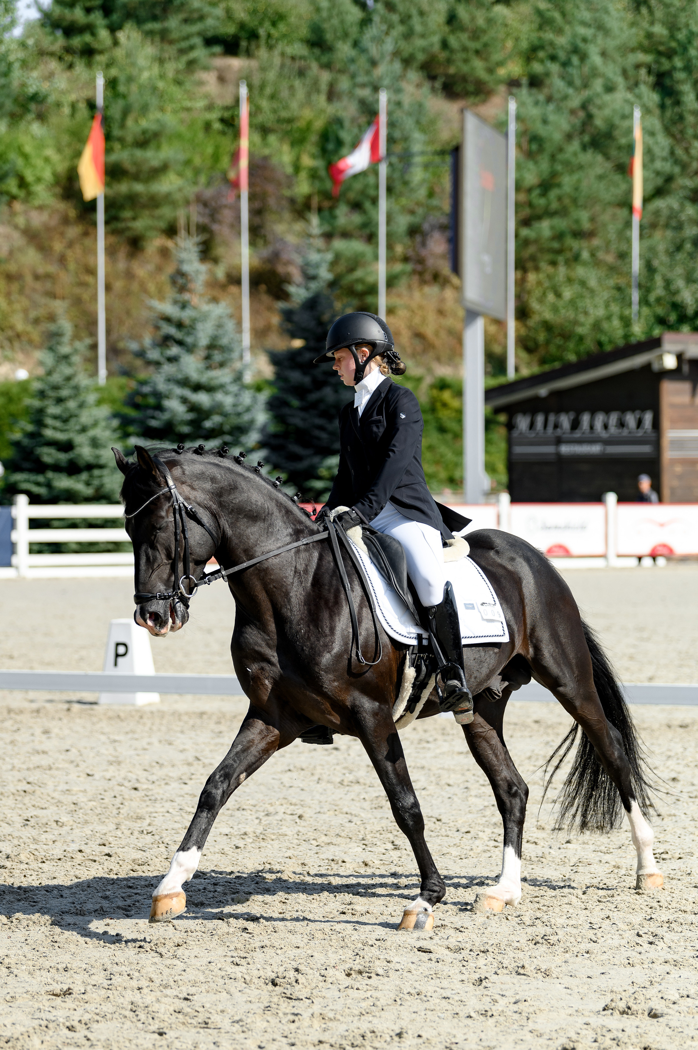 «DRESSAGE EQUIDES CUP 2023». Свадебный и семейный фотограф